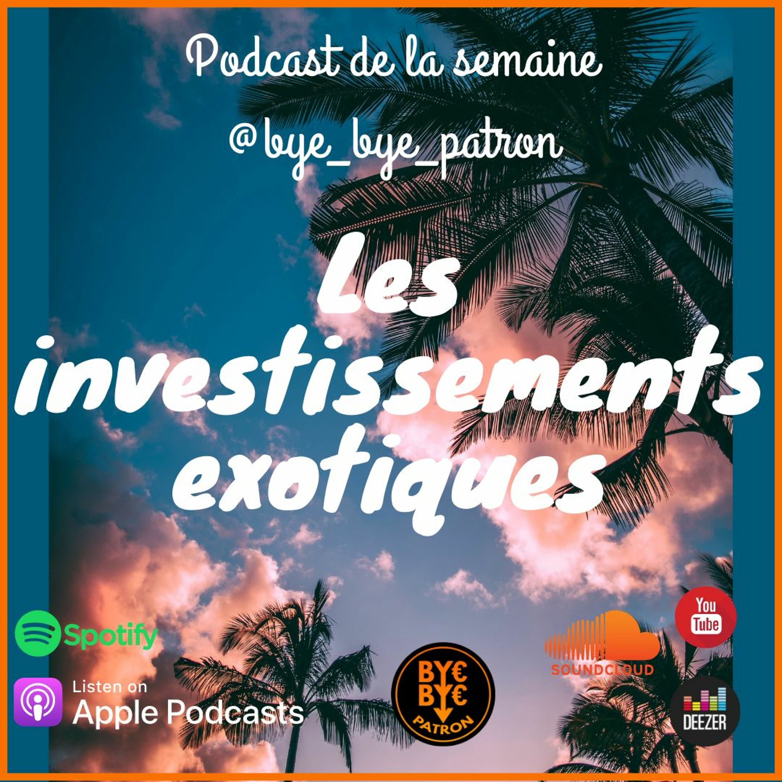 Investissements exotiques que faire avec 10 000 Euros ?