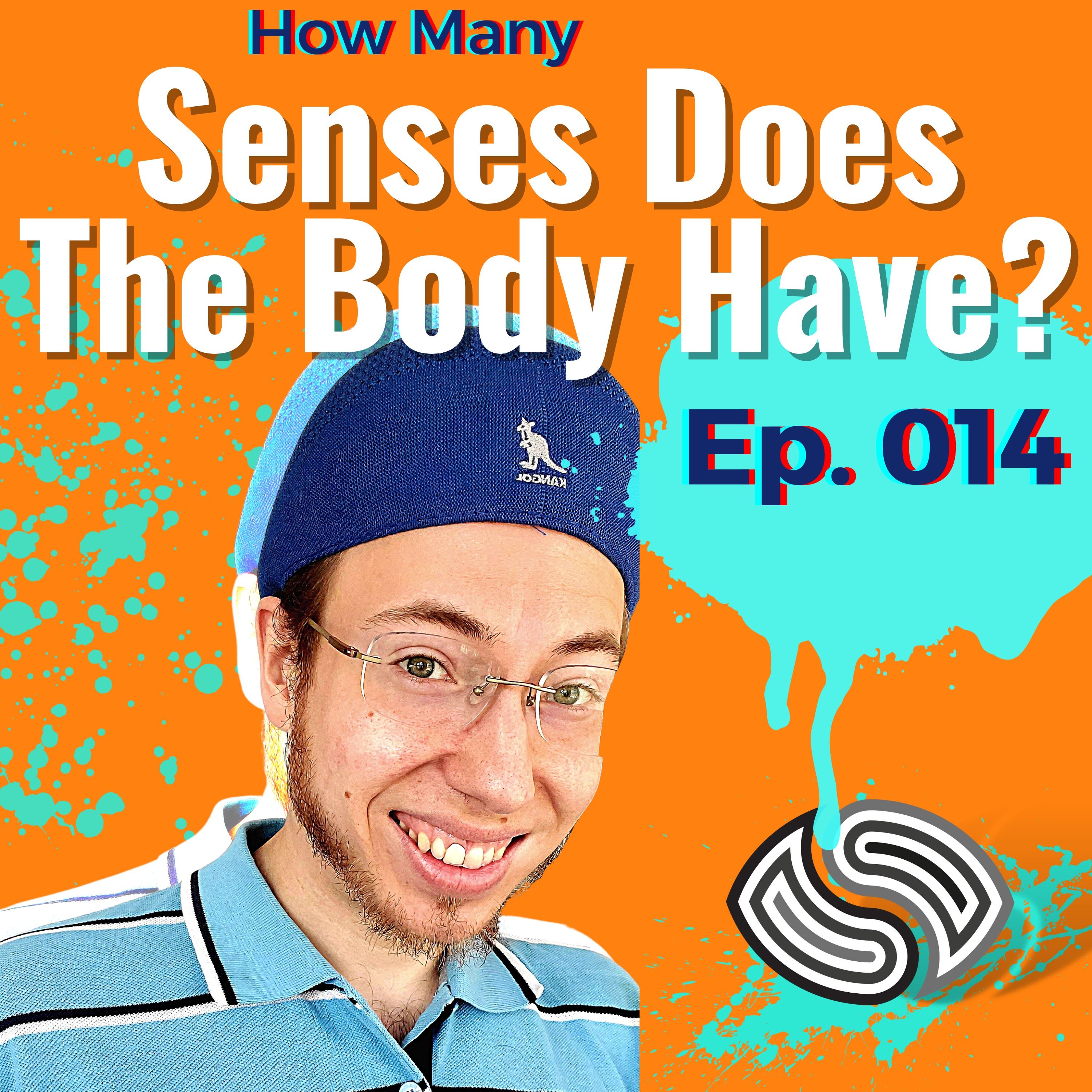 How Many Senses Does The Body Have? [014]