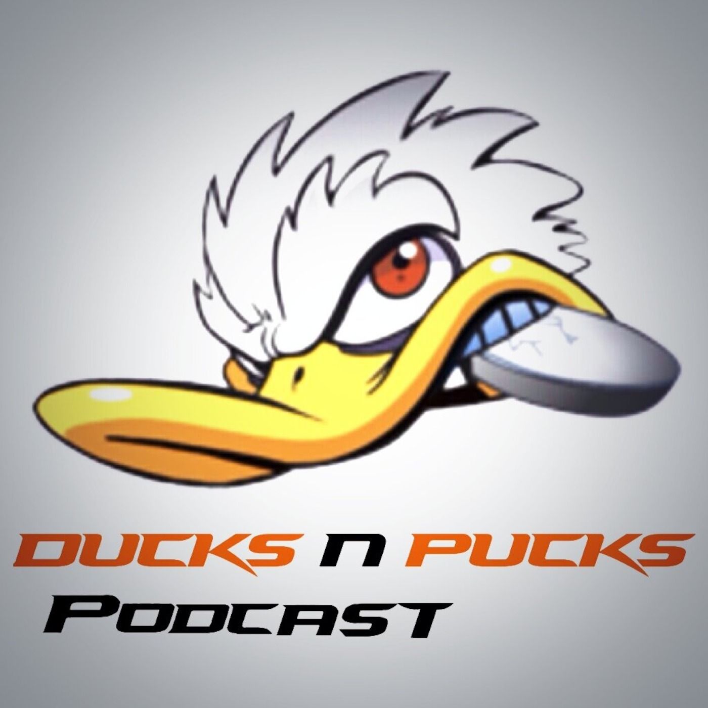 Ducks Push Through Road Trip And Injuries episode artwork