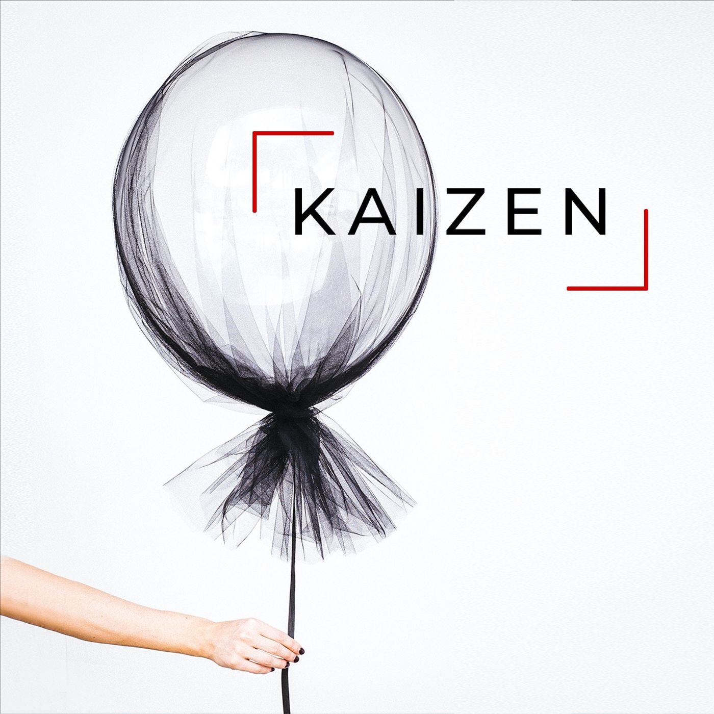 Dos años de kaizen