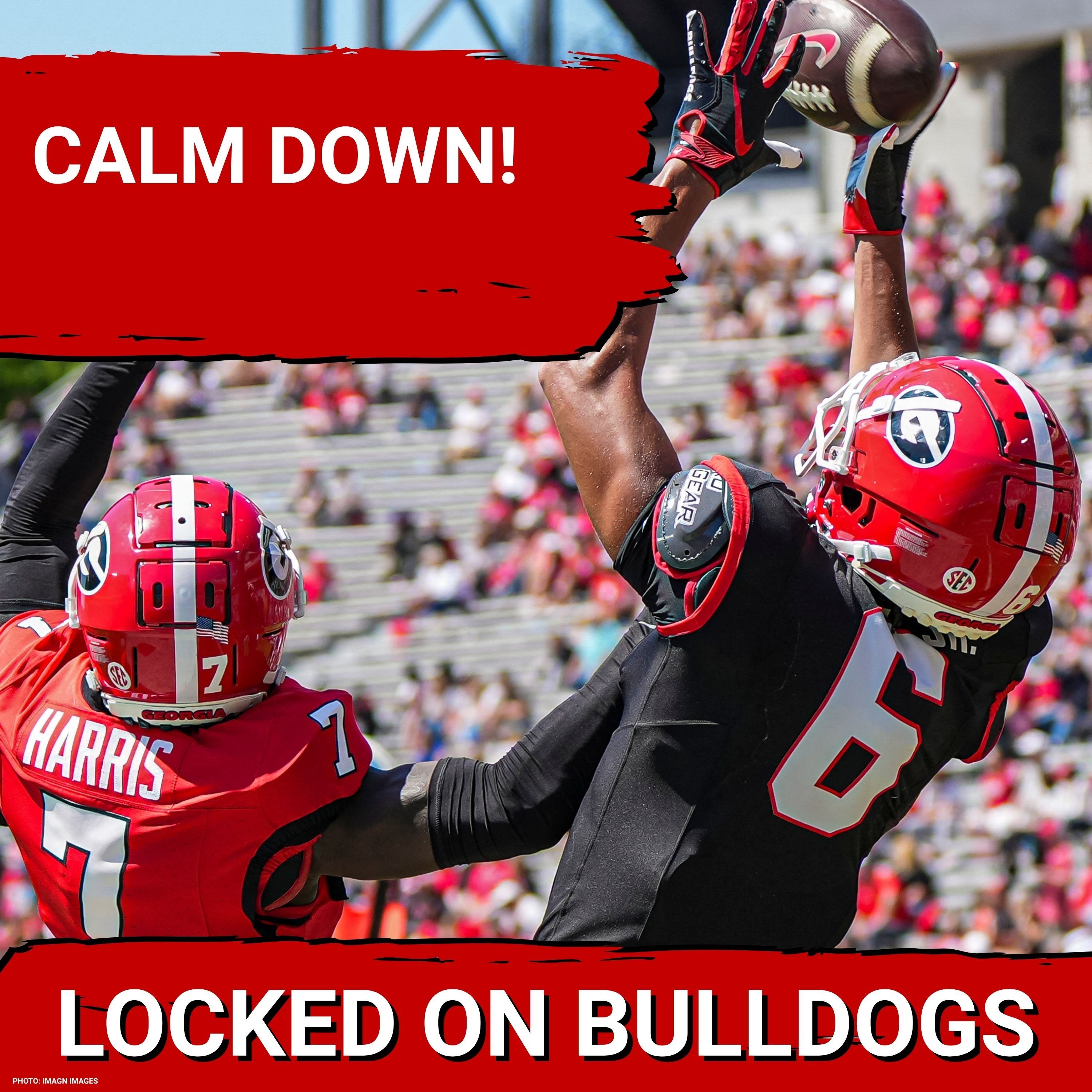 CALM DOWN: Why the Georgia Football pass catchers are going to be JUST FINE in 2026!! episode artwork