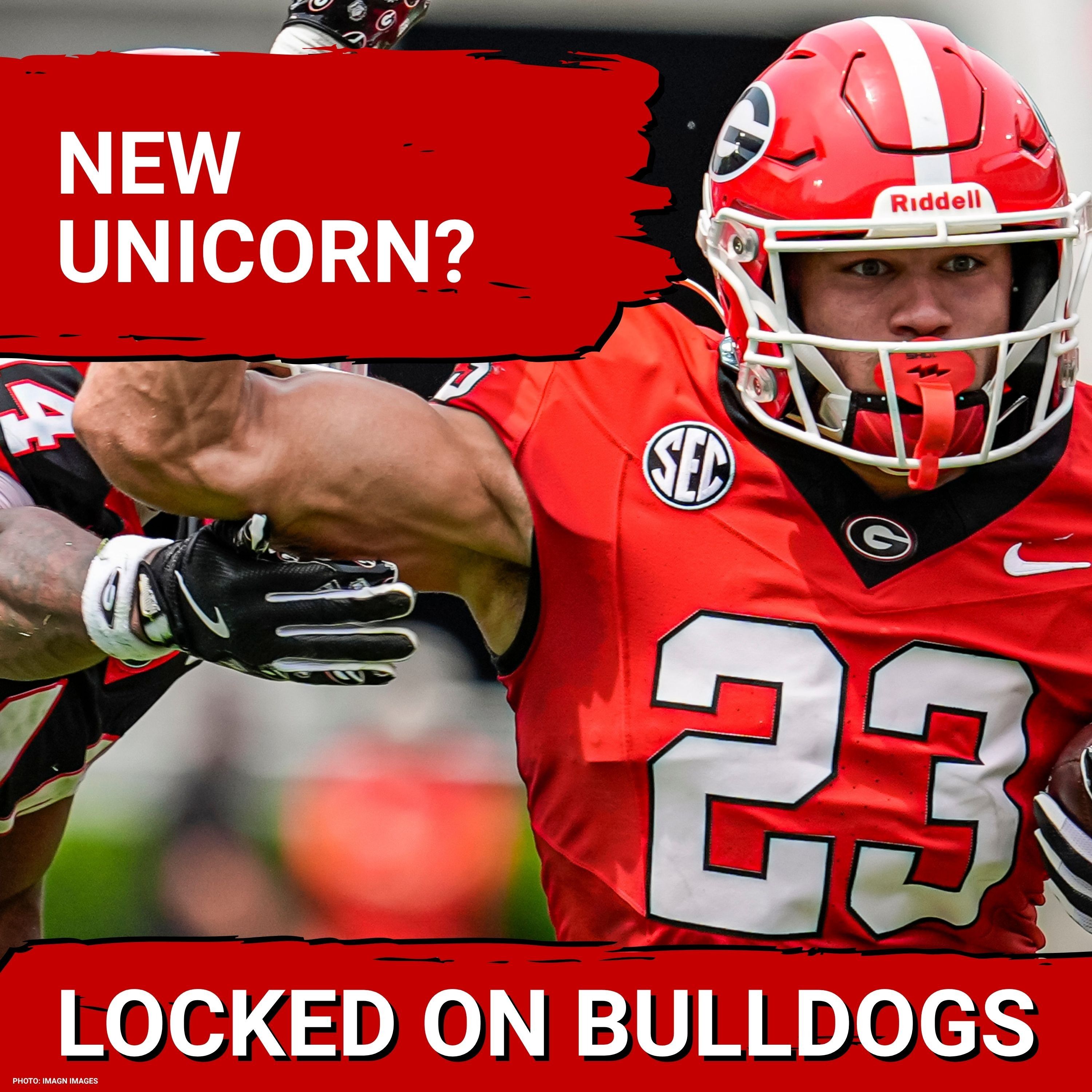 GAMECHANGER: Georgia Bulldogs' Tight End Room TRANSFORMS with Reddell, Williams IMPRESS episode artwork