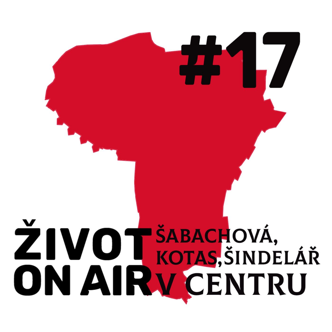 #17_Šabachová, Kotas, Šindelář_V centru