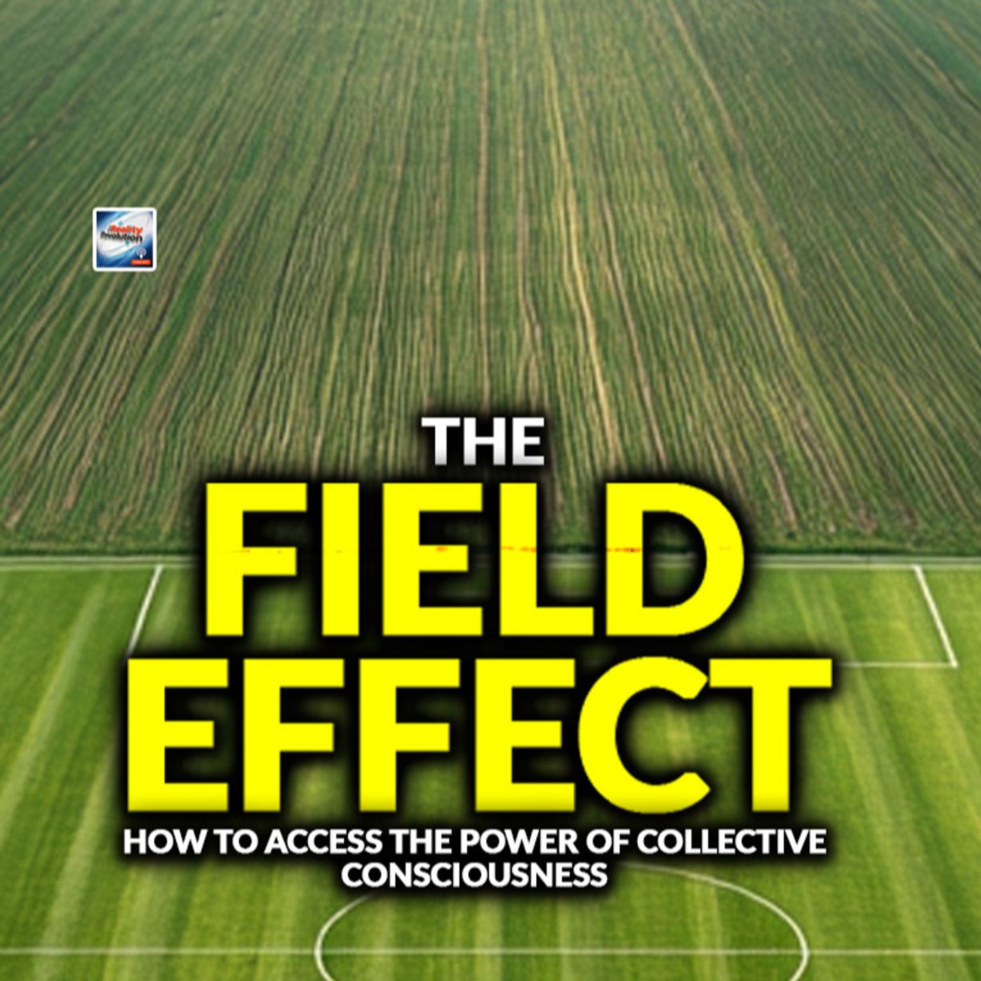 The Field Effect – How To Access The Power Of Collective Consciousness