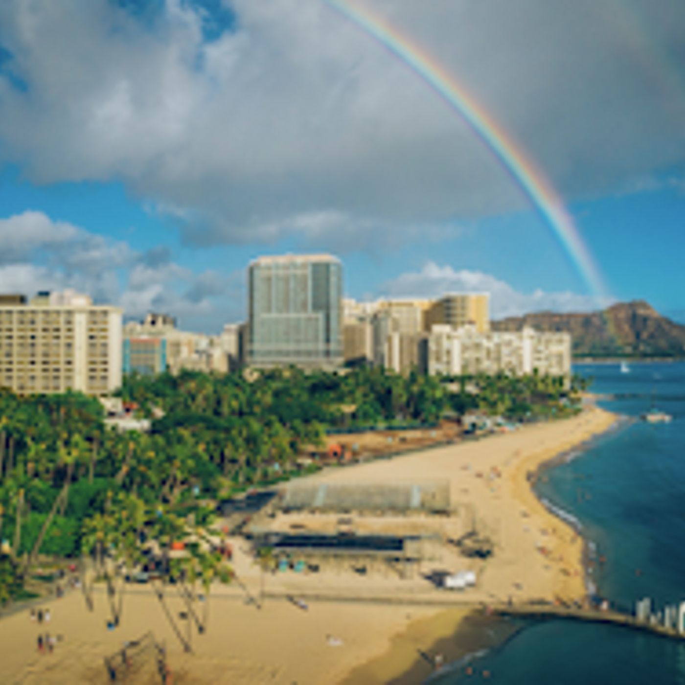 Wilco Nijland, creator the King of the Court series