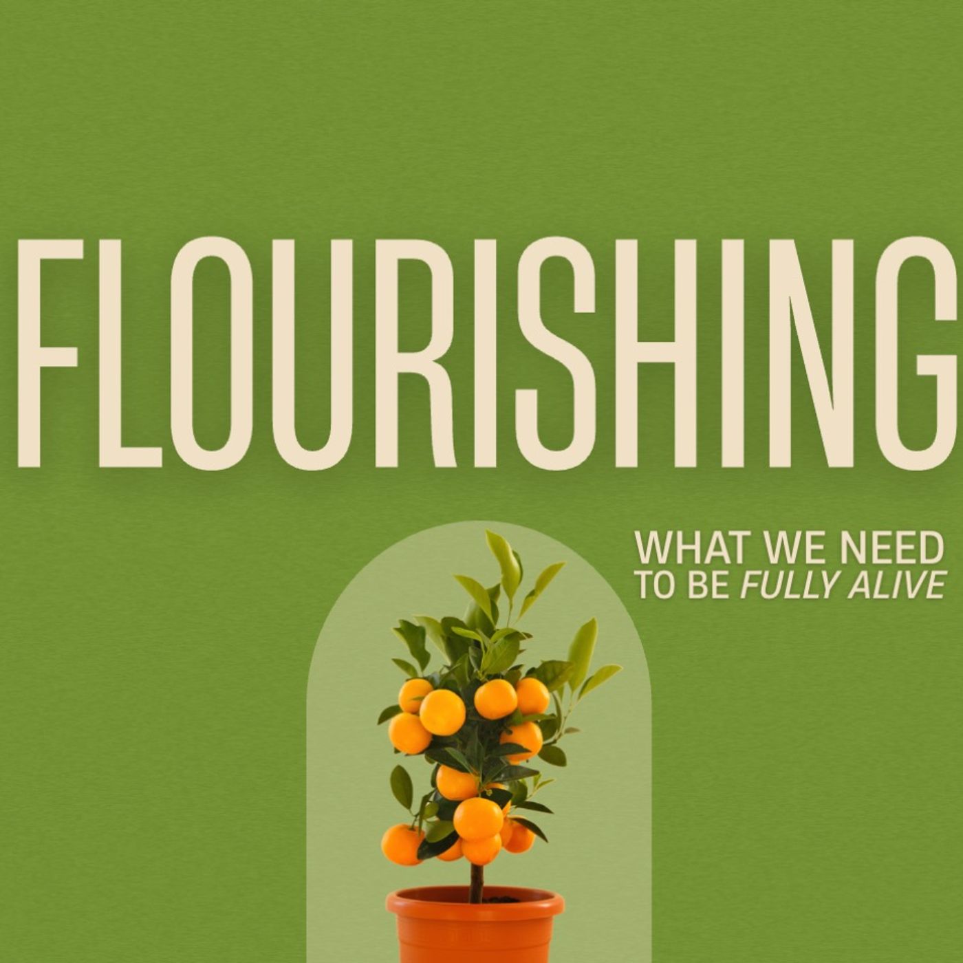 Flourishing; What We Need to Be Fully Alive | Persecution Part II episode artwork