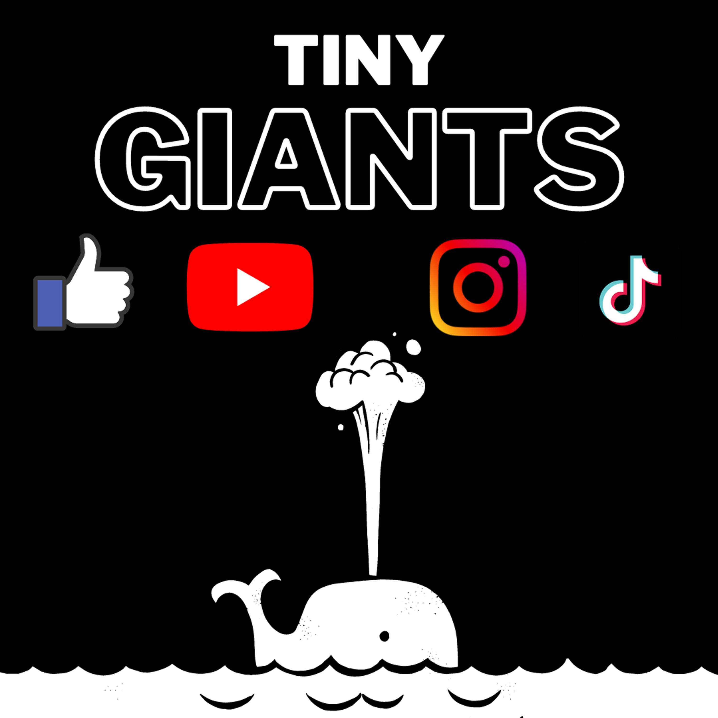 Tiny Giants cover art