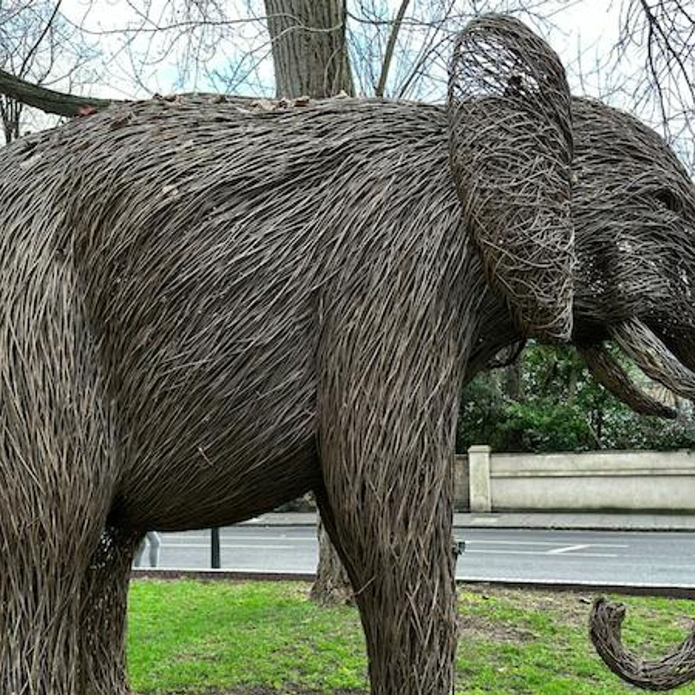 The Elephant in the Room