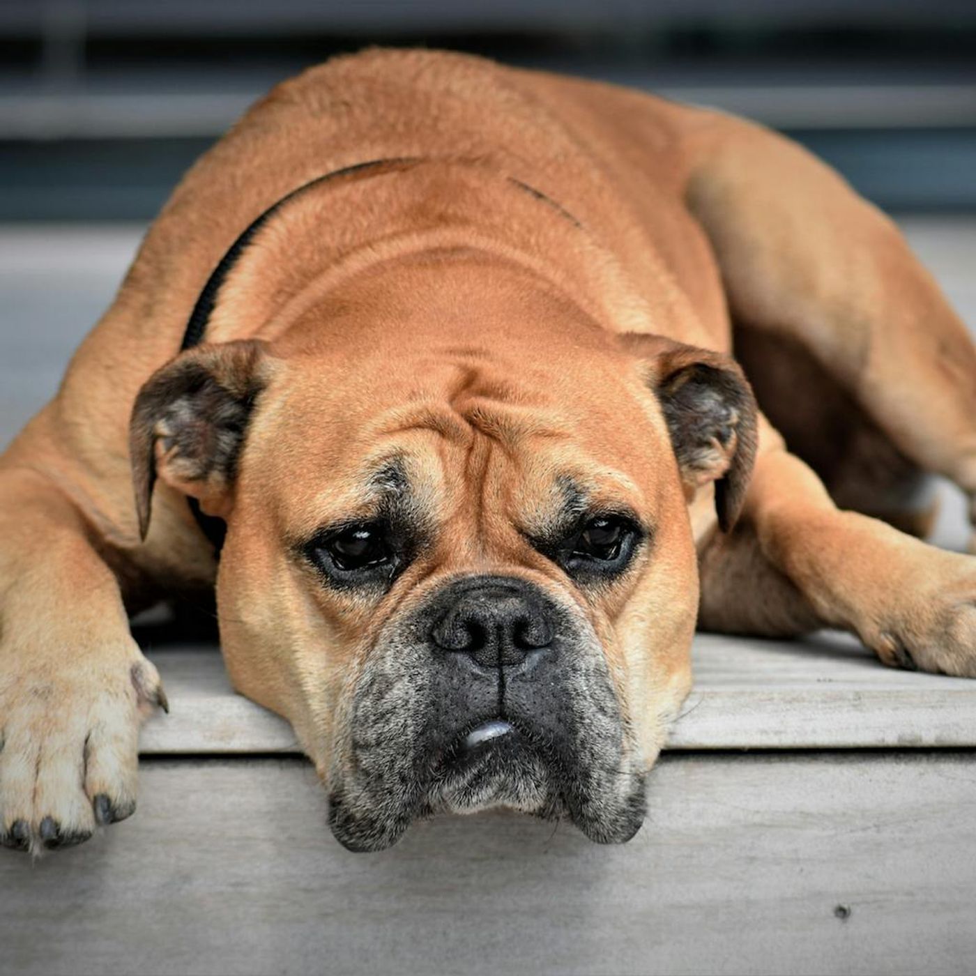 The Lure of Laziness