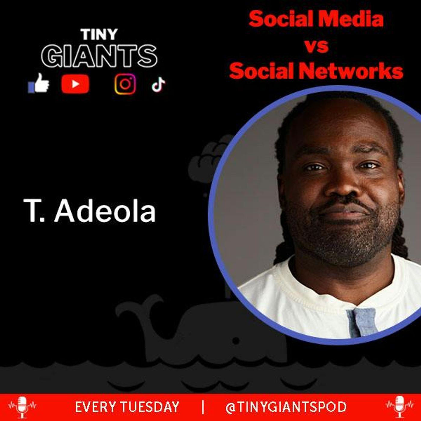 Social Media vs Social Networks