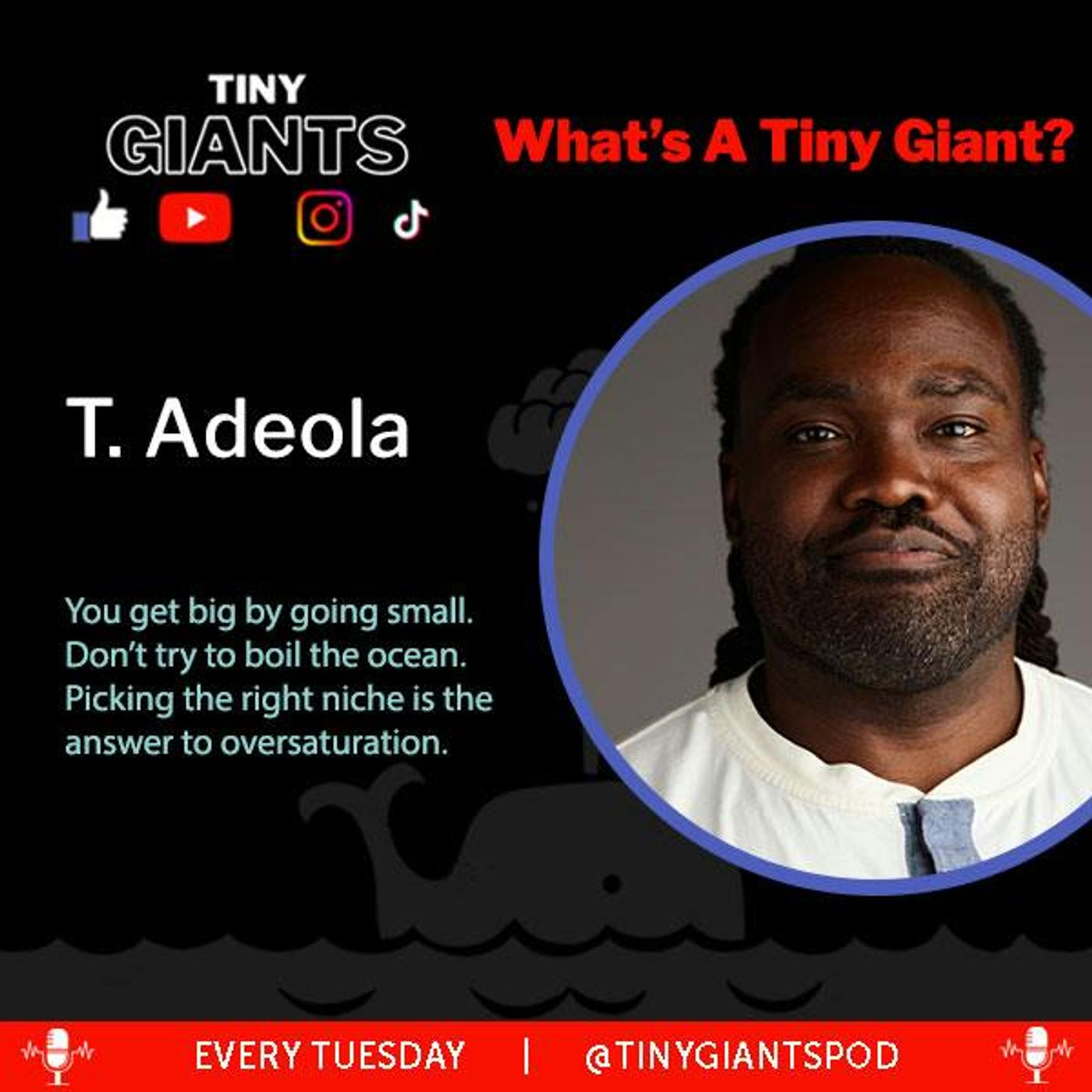 Teaser: What’s a Tiny Giant & Why Do I Care?
