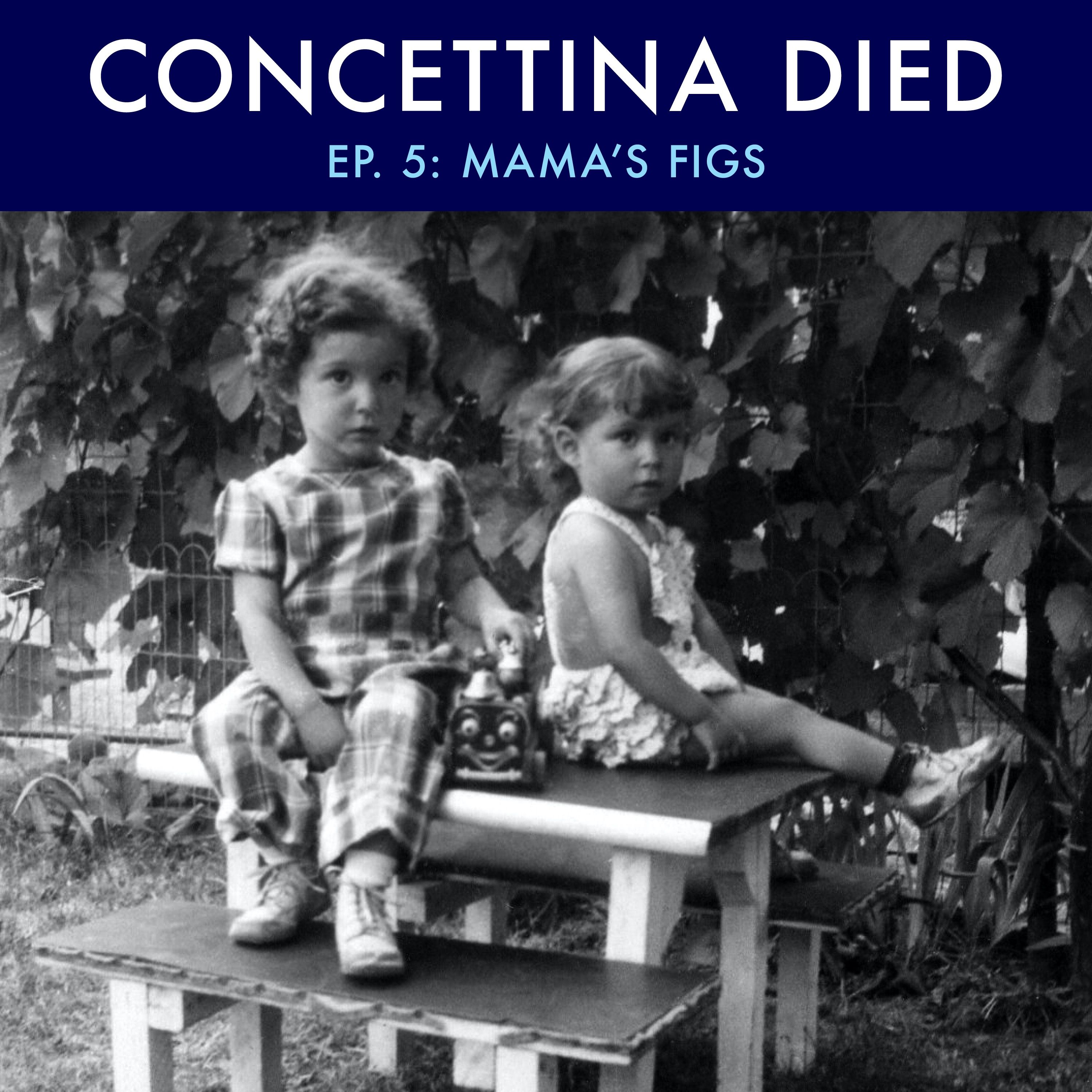 Concettina Died and Other Stories of the East Side