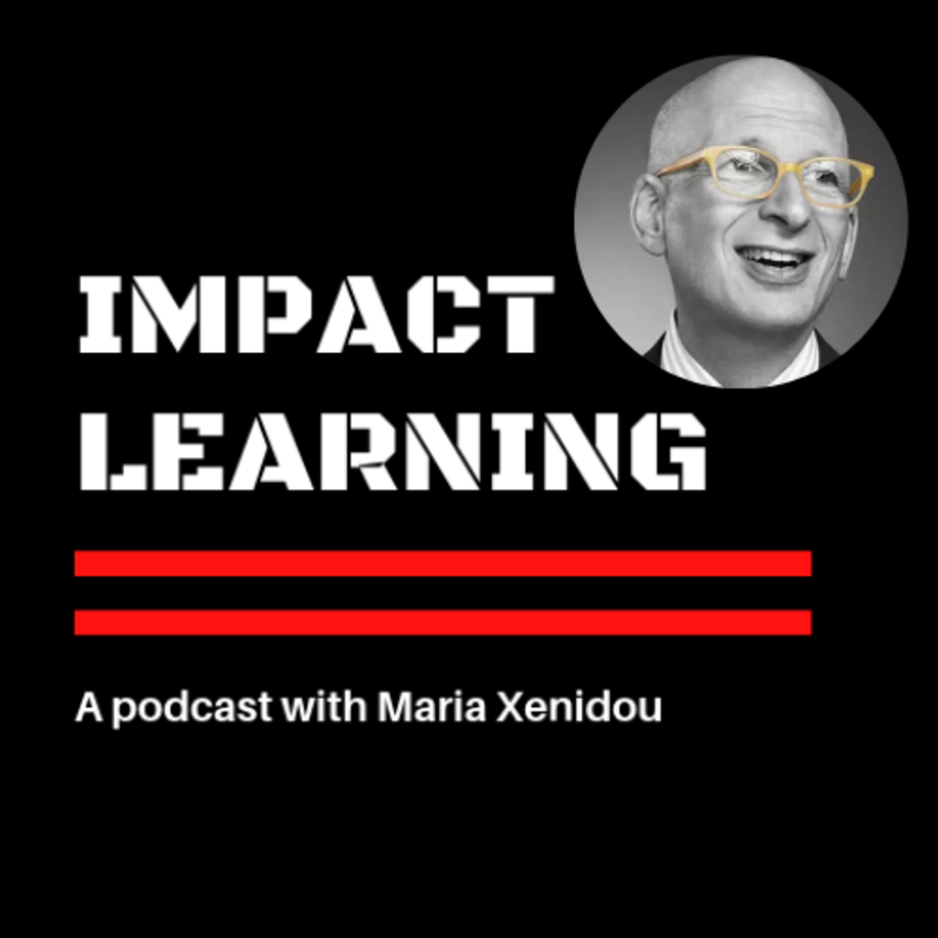 Learning by Doing the Work with Seth Godin