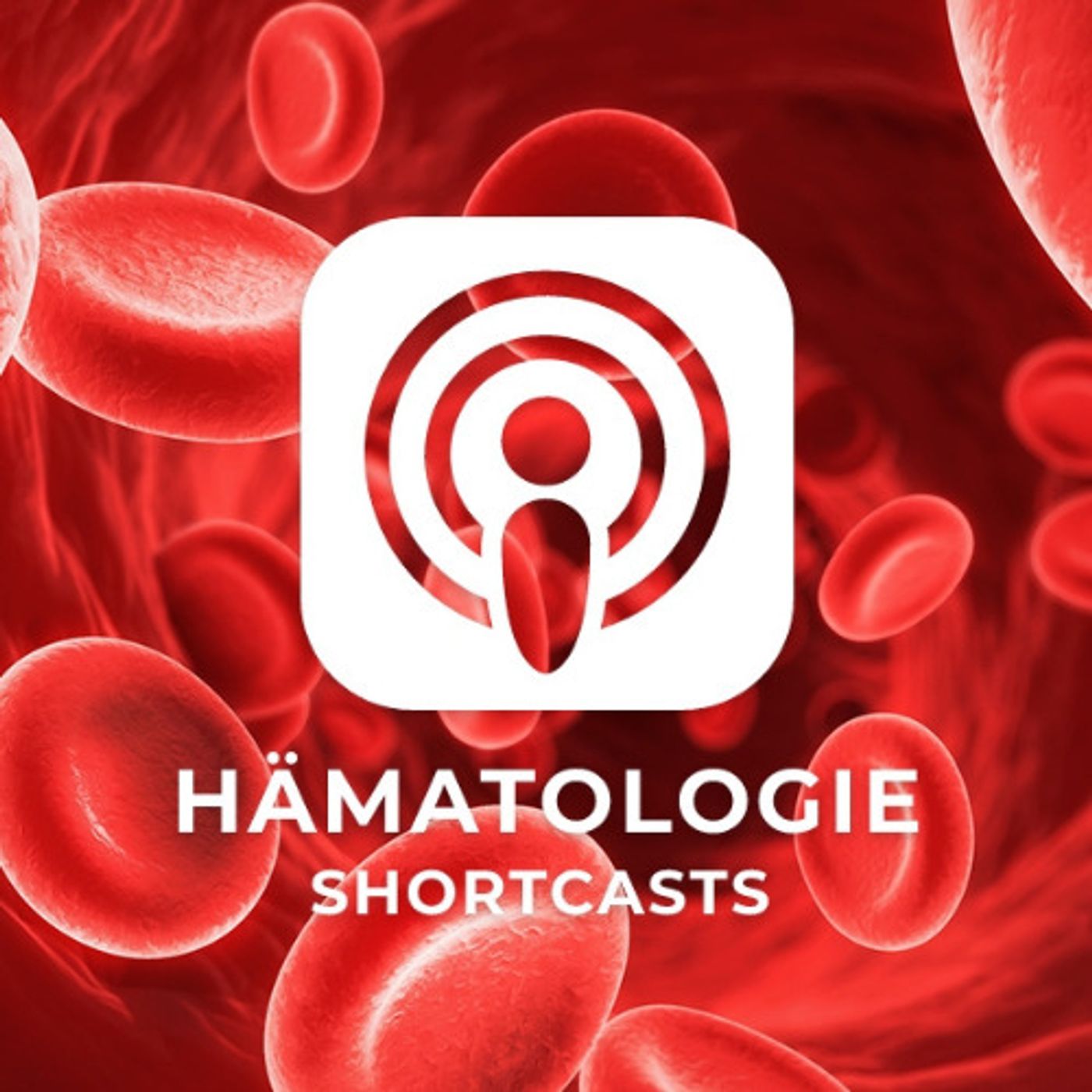 Hämatologie Shortcasts