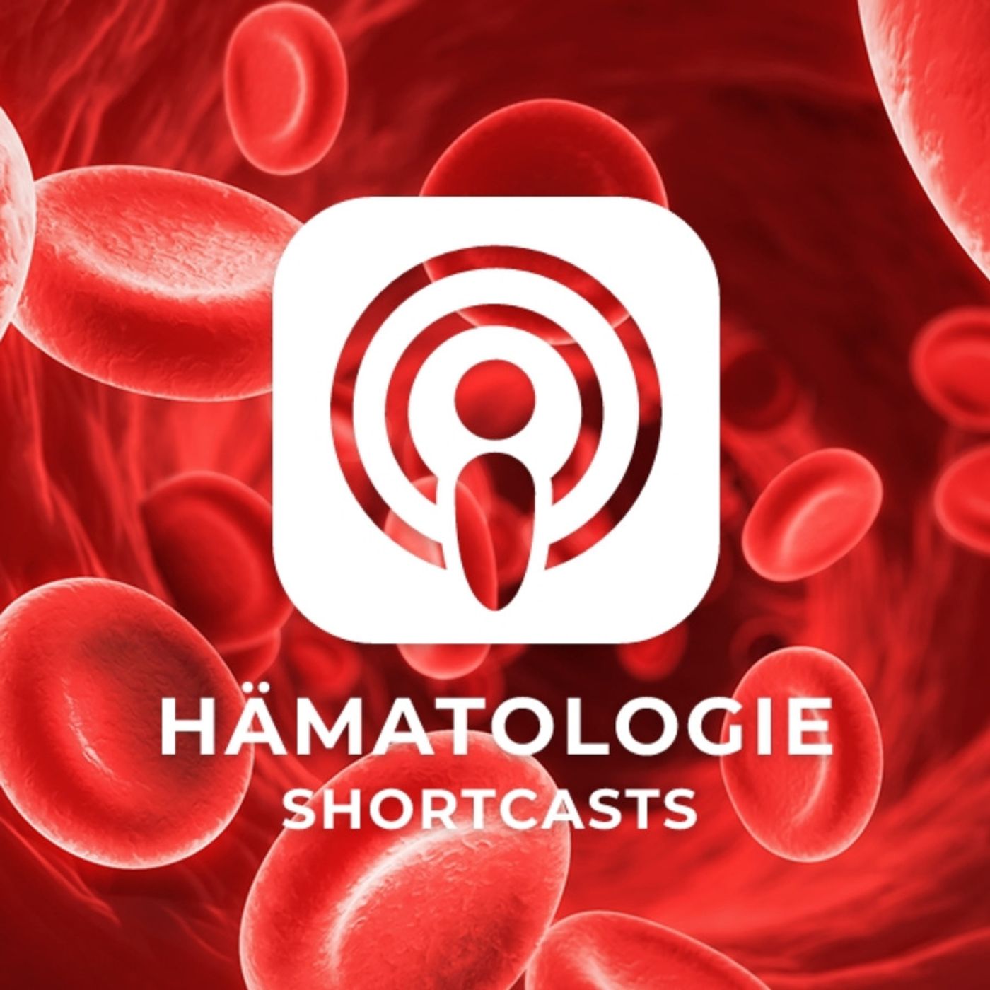 Hämatologie Shortcasts