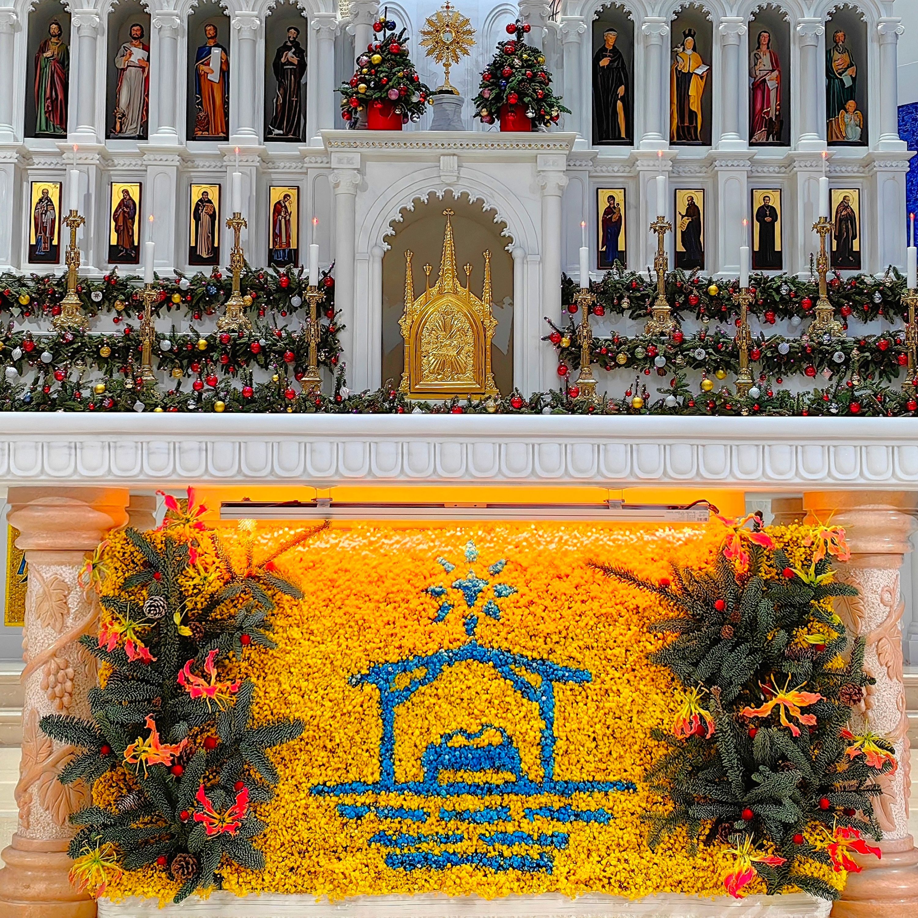 2025-12-25 耶稣圣诞子时弥撒The Nativity of the Lord (Christmas) Mass during the Night