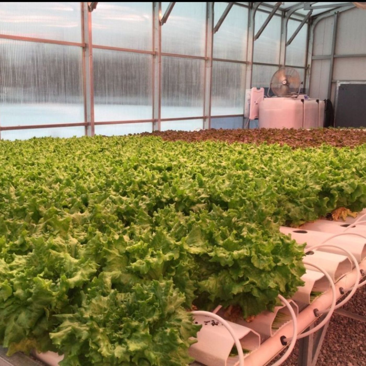 Ceres Greenhouse Solutions - Designing for a Better Future