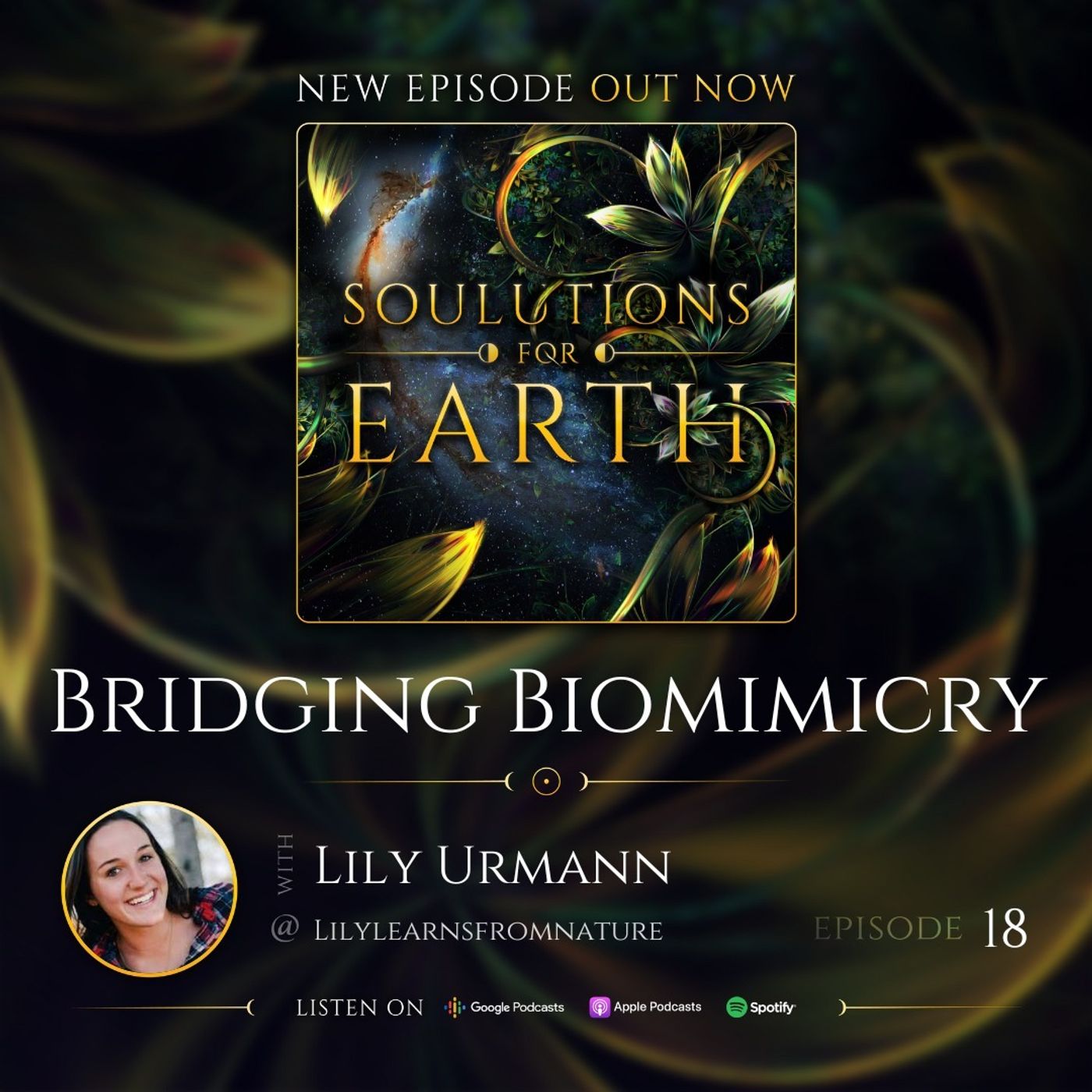 Bridging Biomimicry