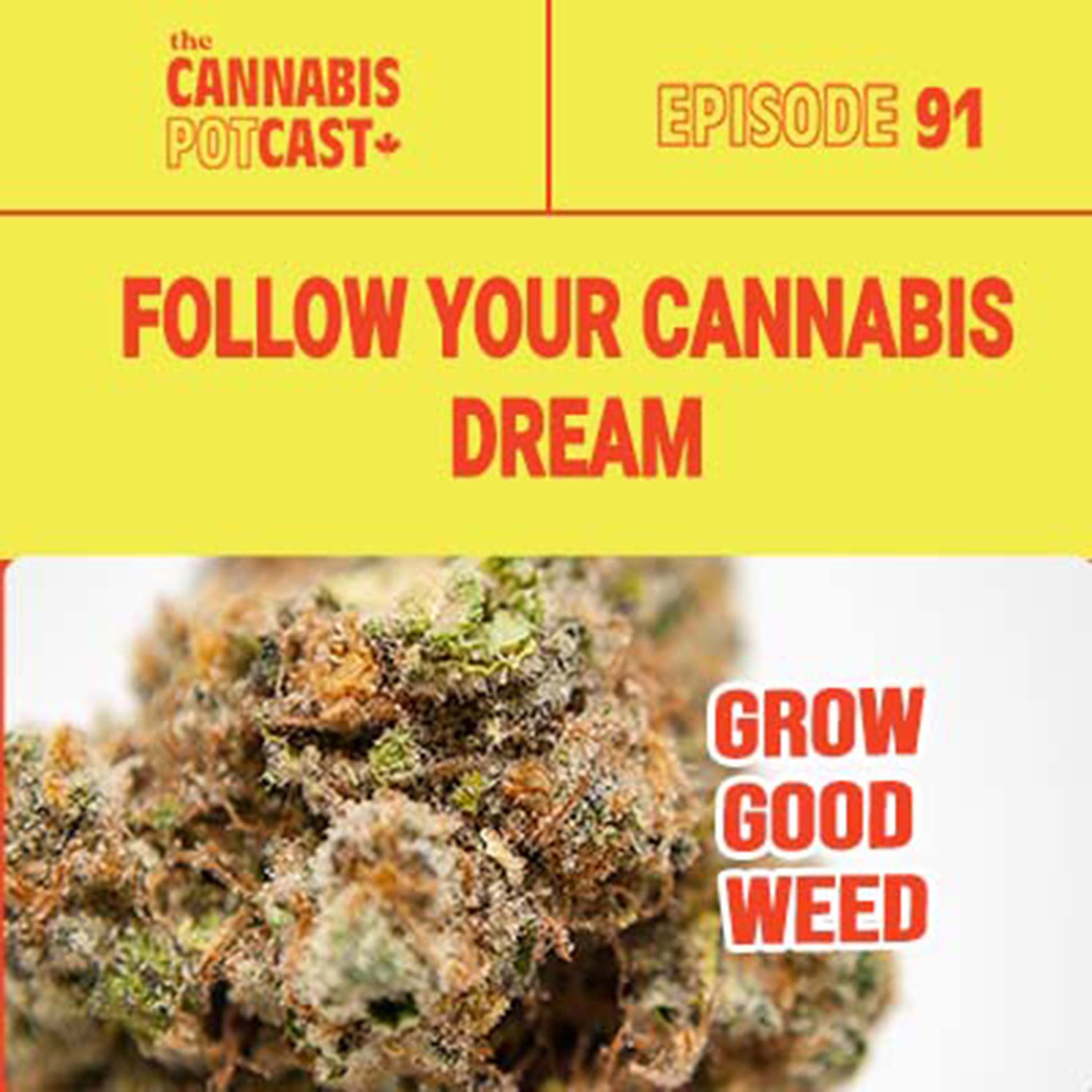 Follow Your Cannabis Dream