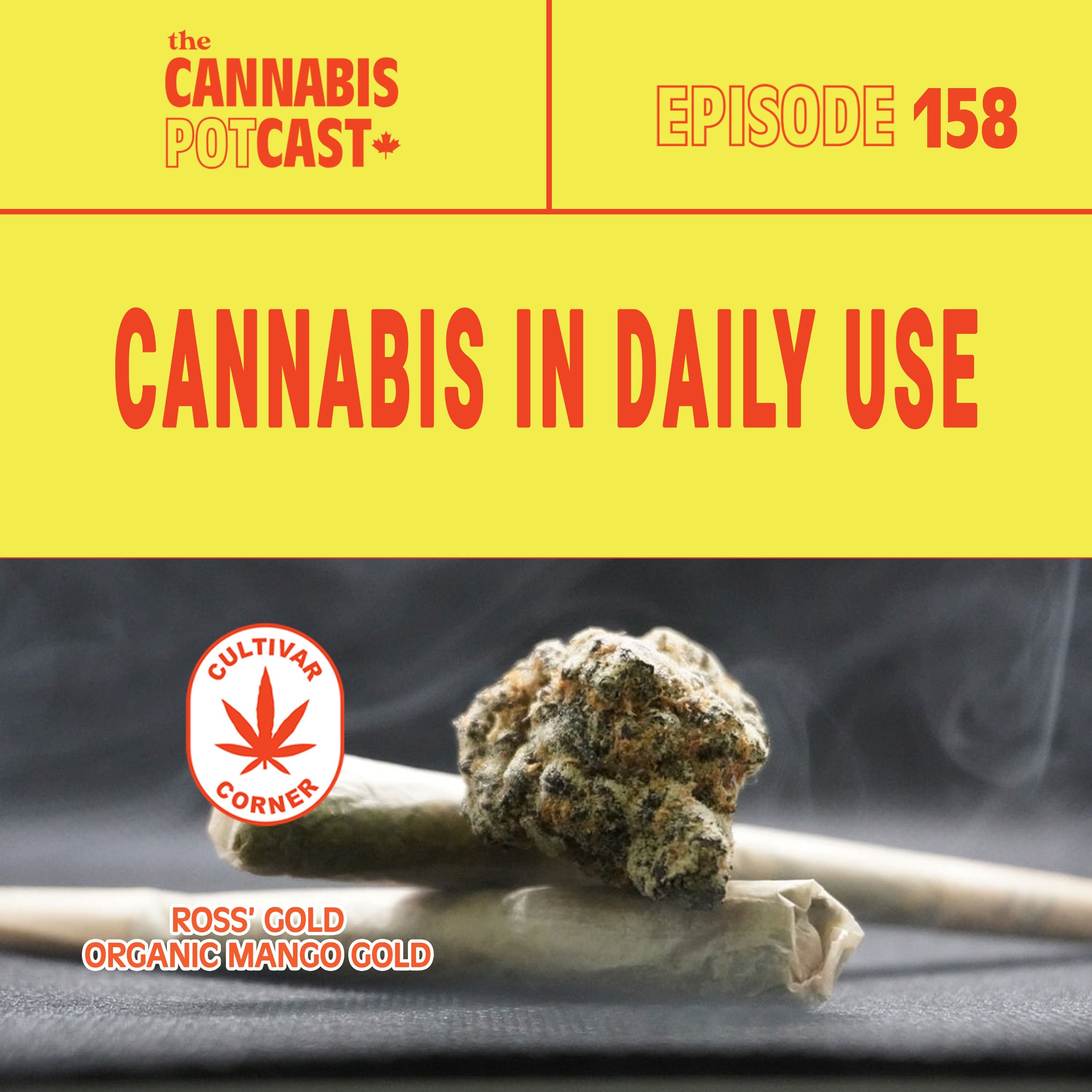 Cannabis in daily use