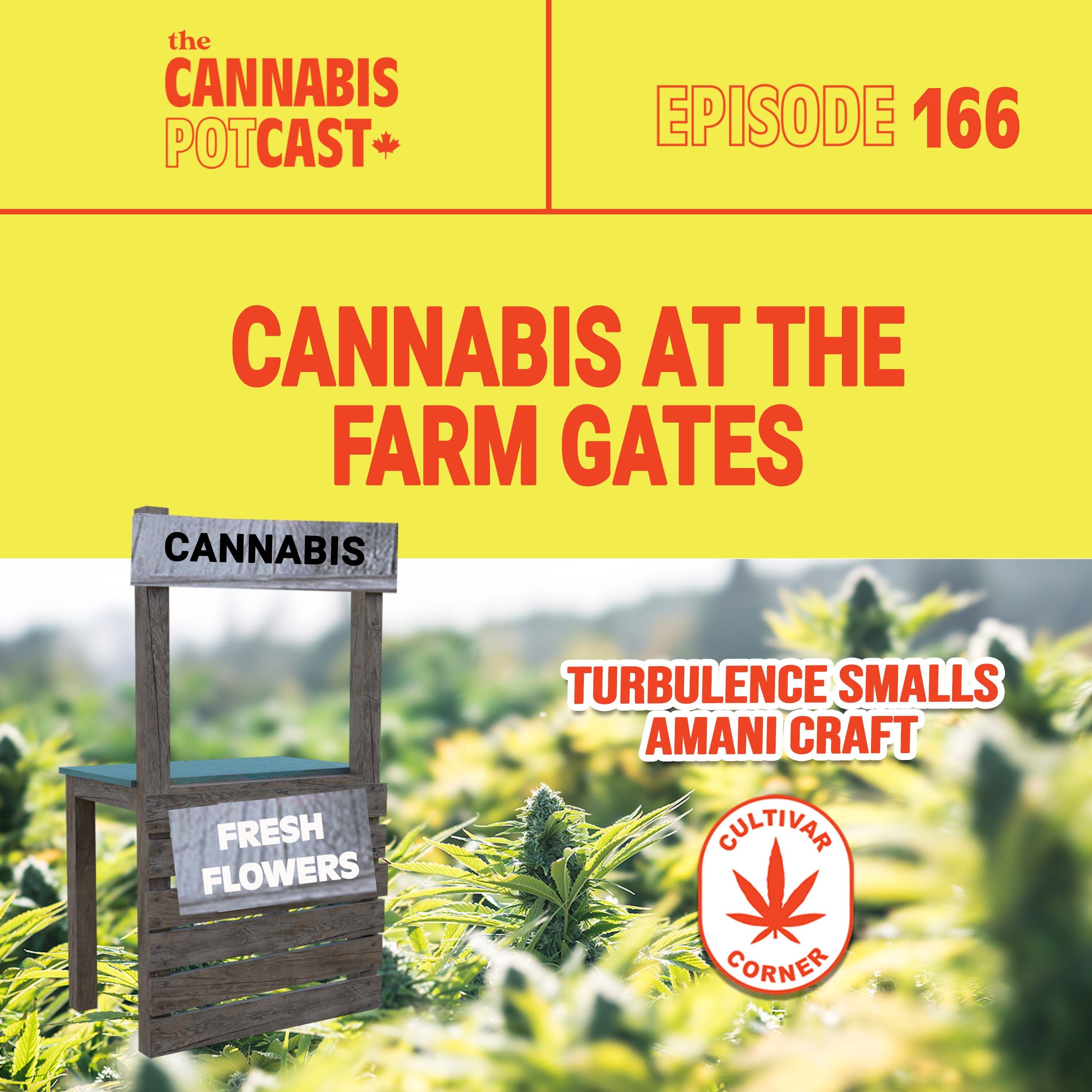 Cannabis at the farm gates