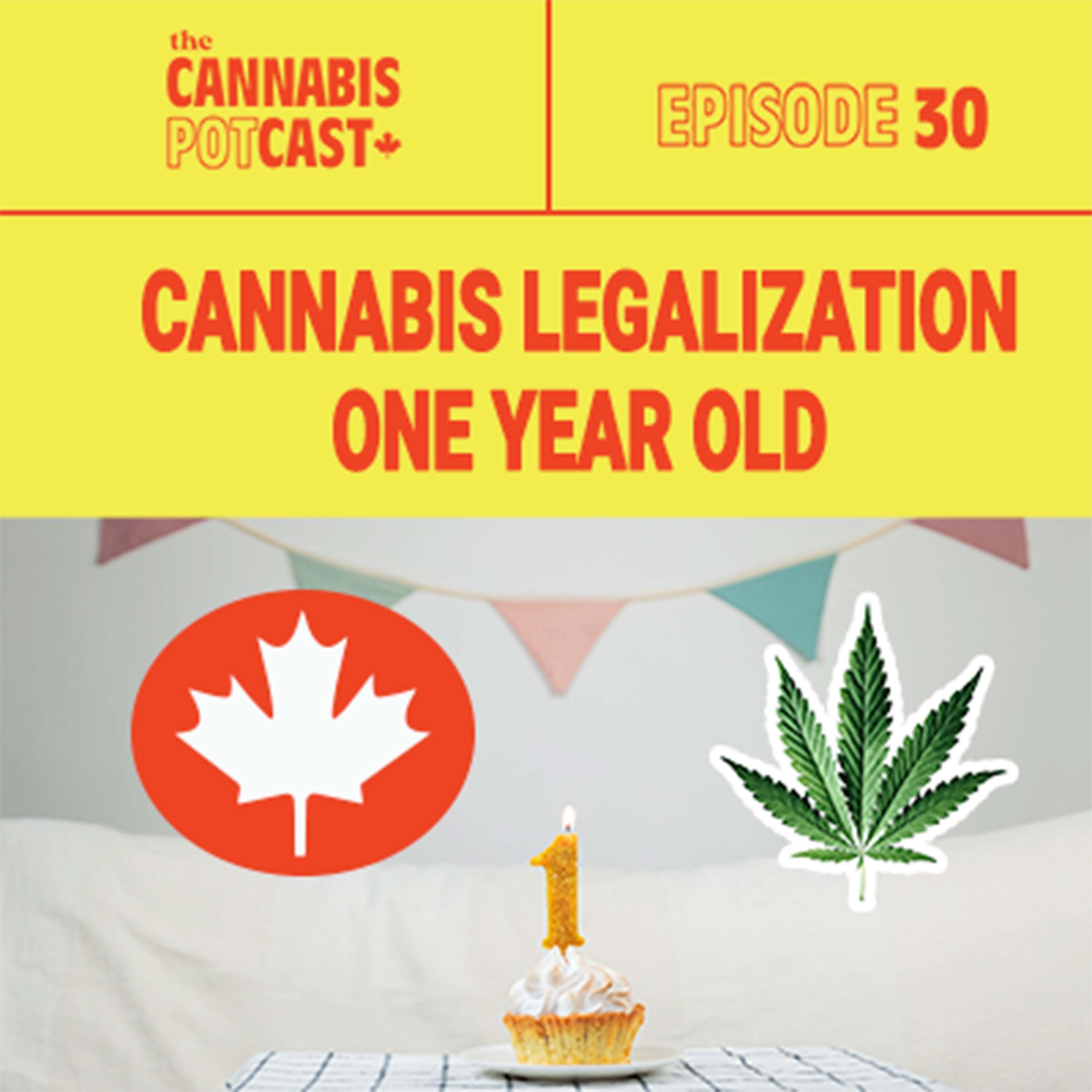 Cannabis Legalization One Year Old