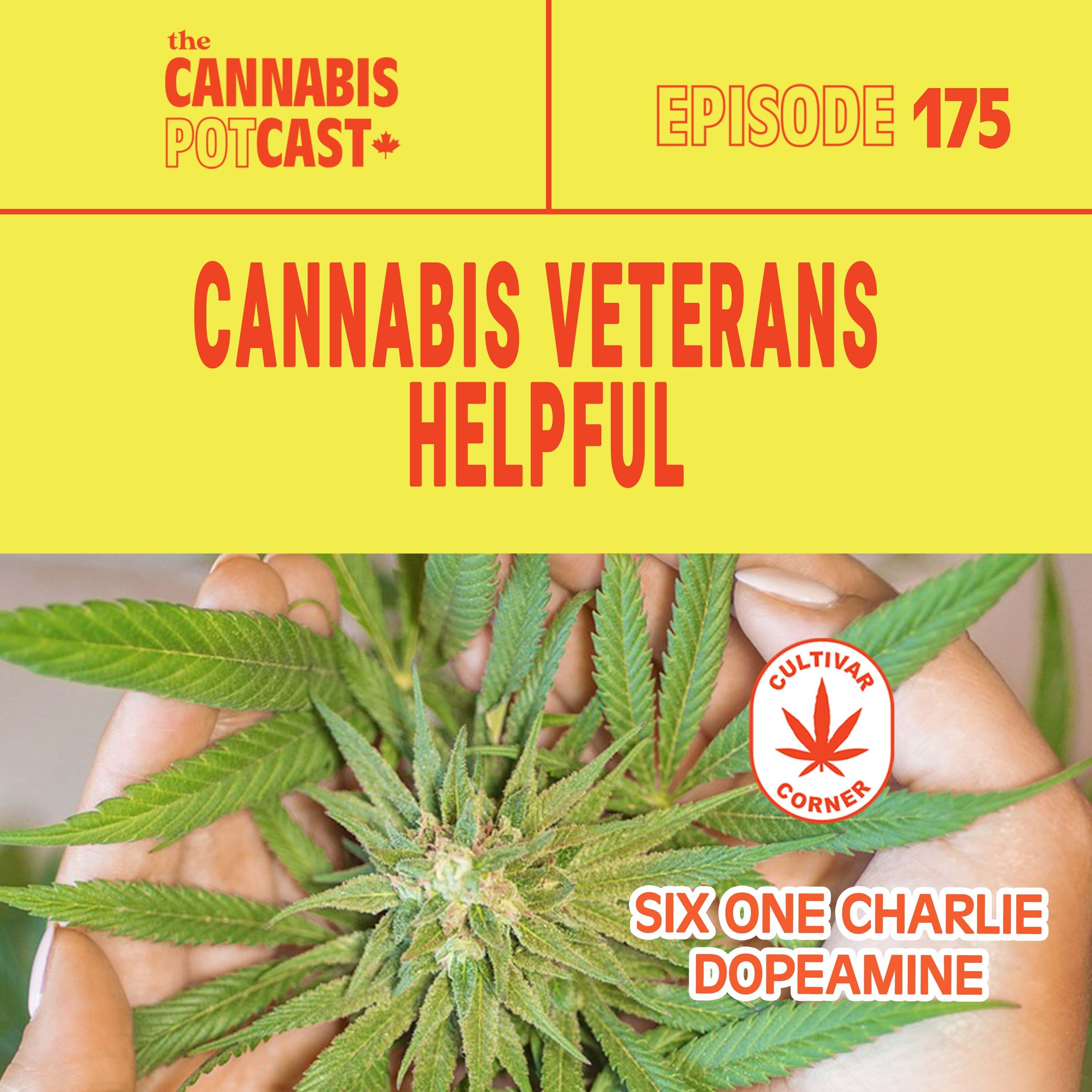 Cannabis veterans helpful