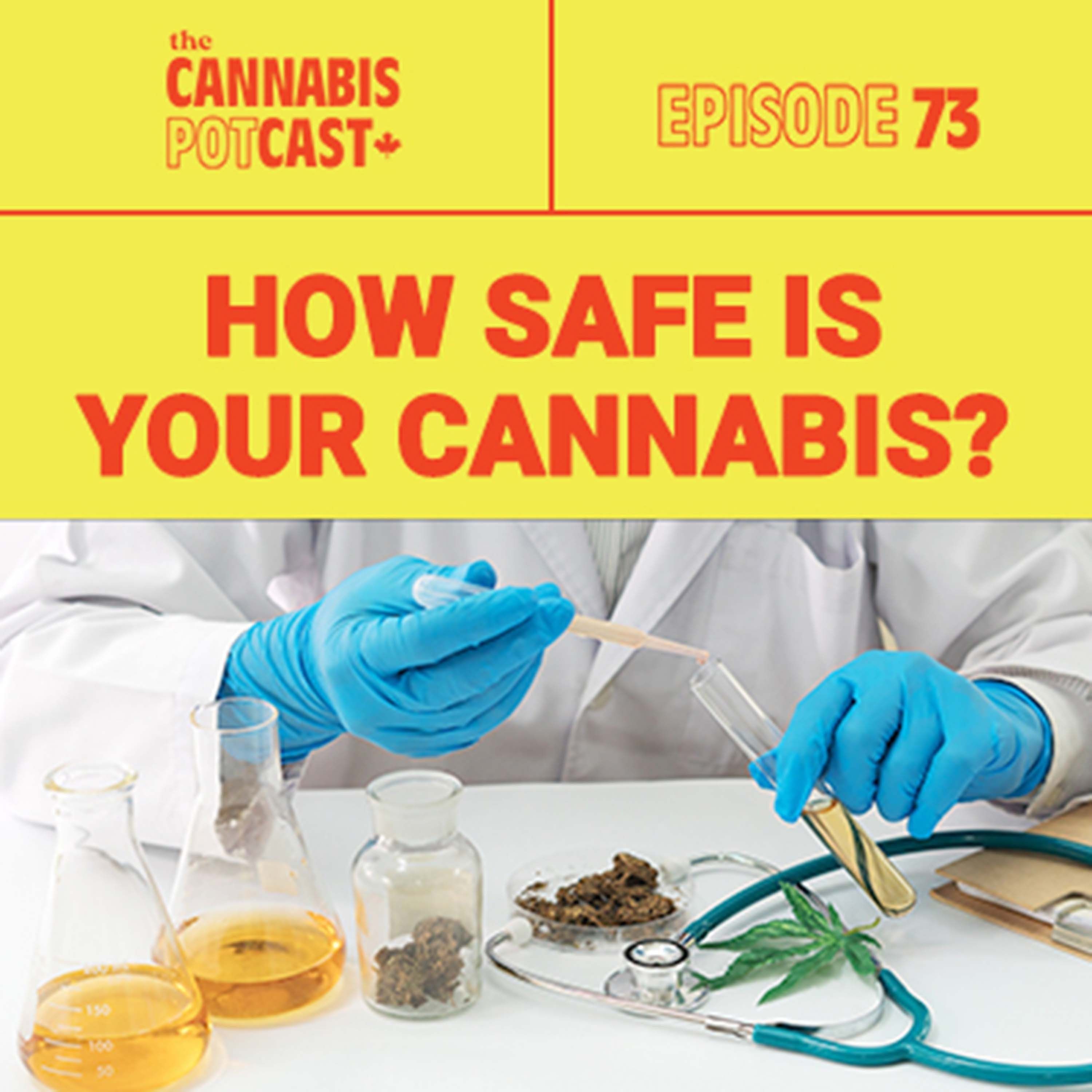 How Safe is your Cannabis?