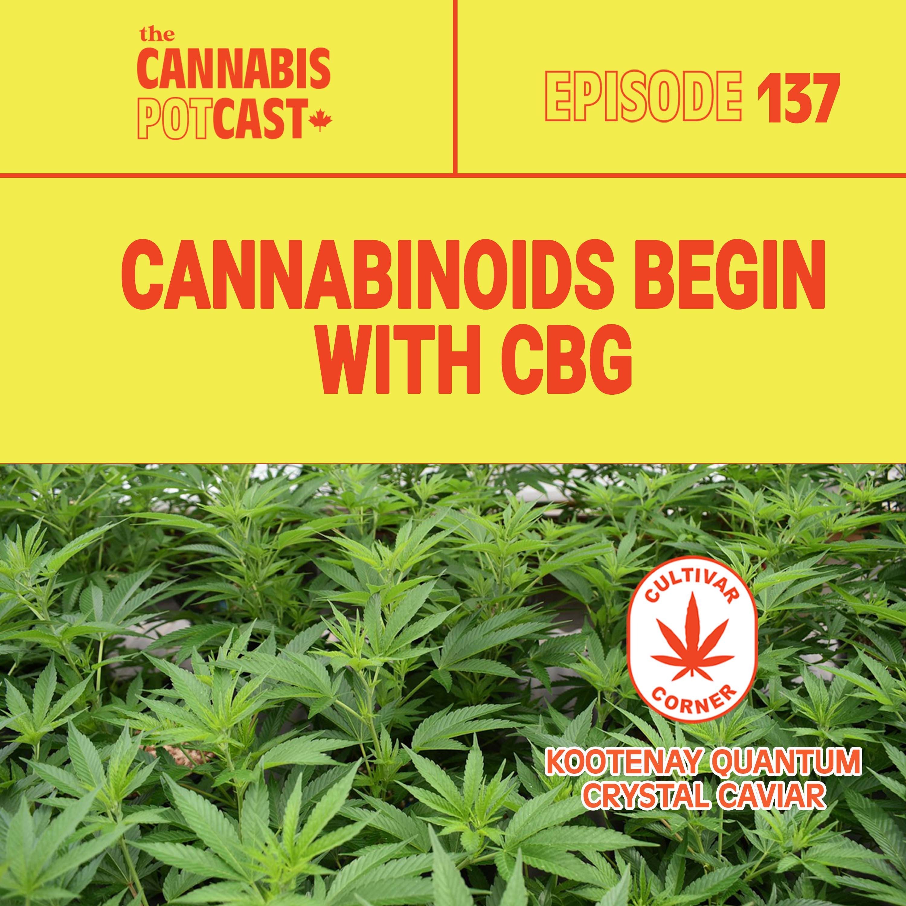 Cannabinoids begin with cbg