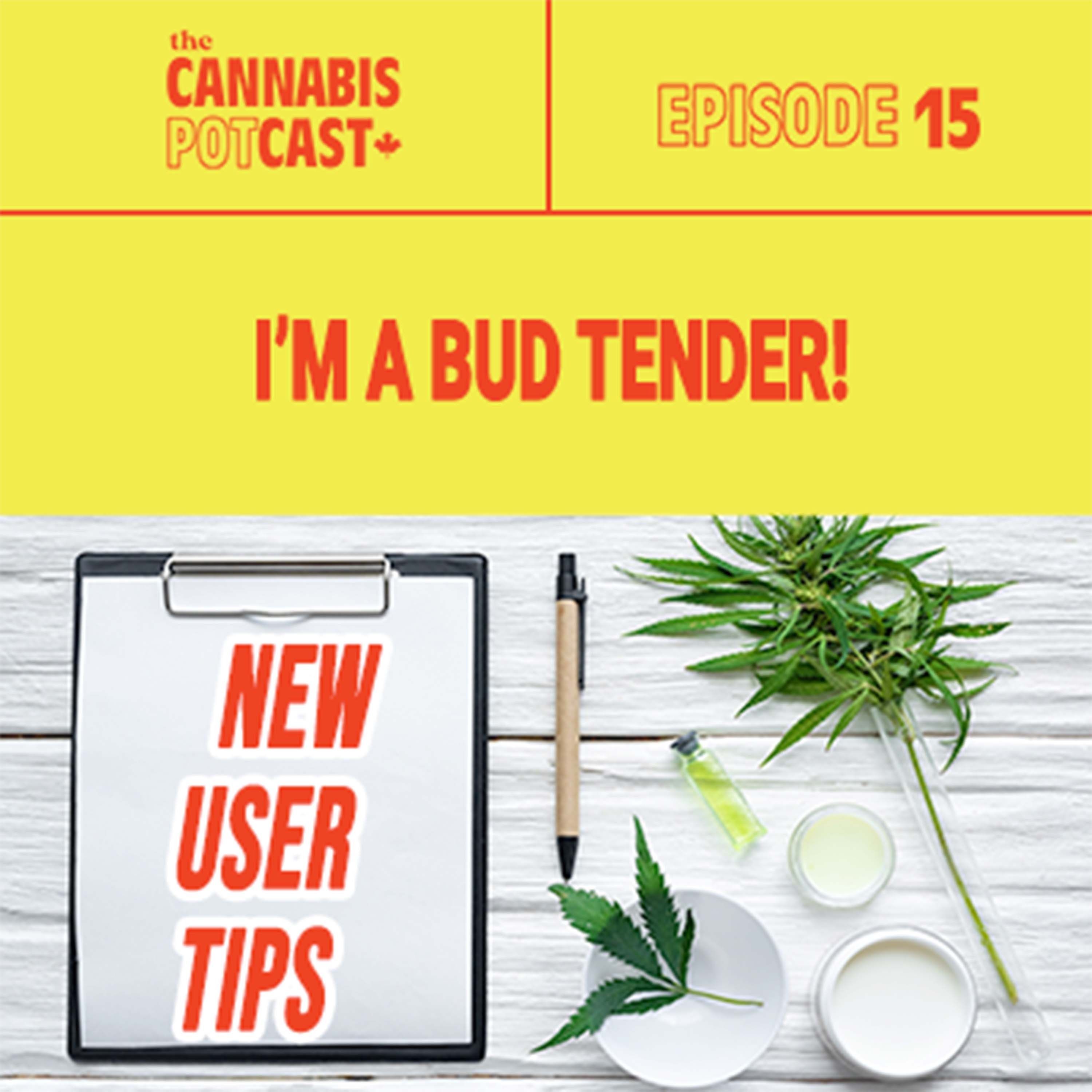 I'm a Bud Tender
