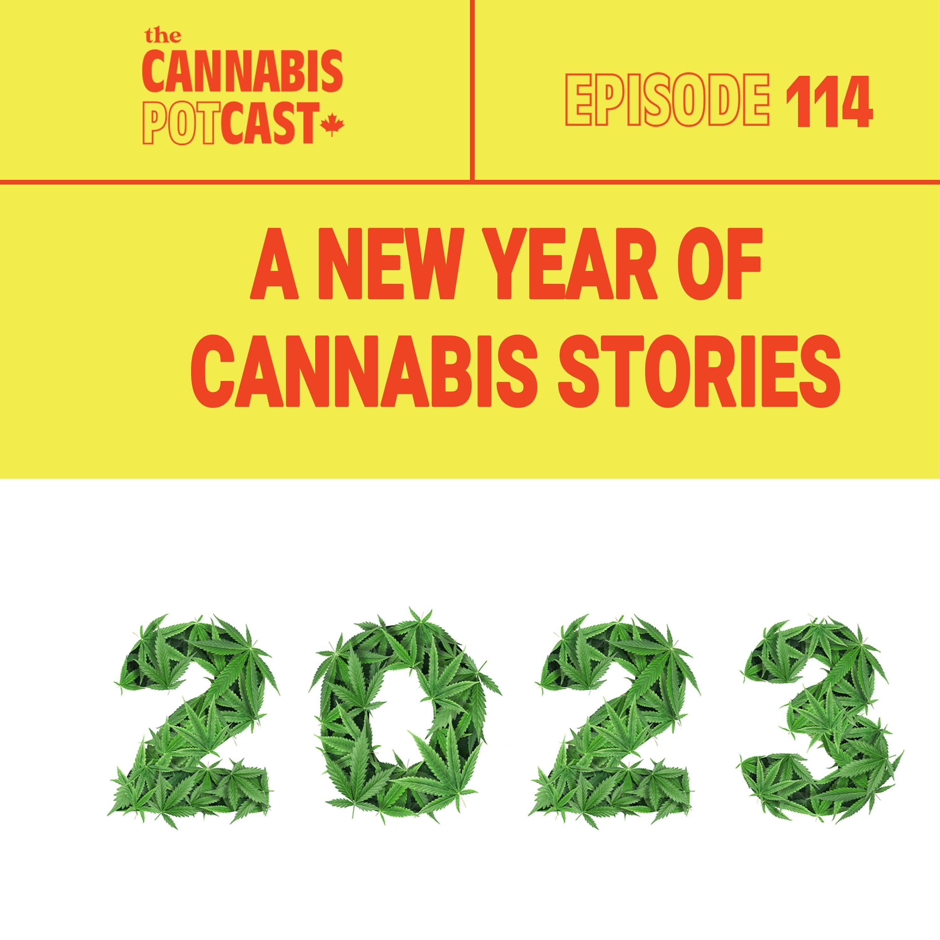 A new year of cannabis stories