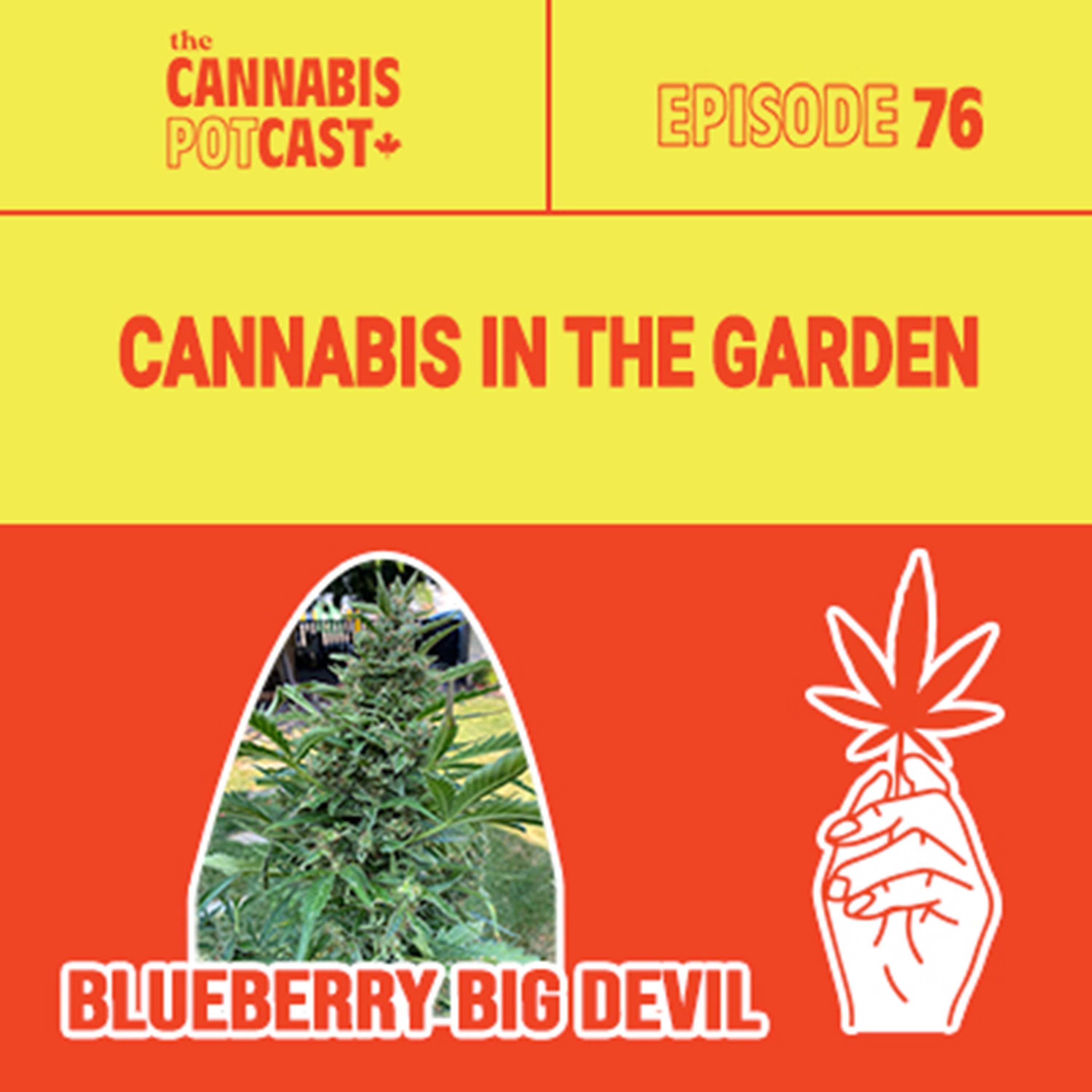 Cannabis in the Garden