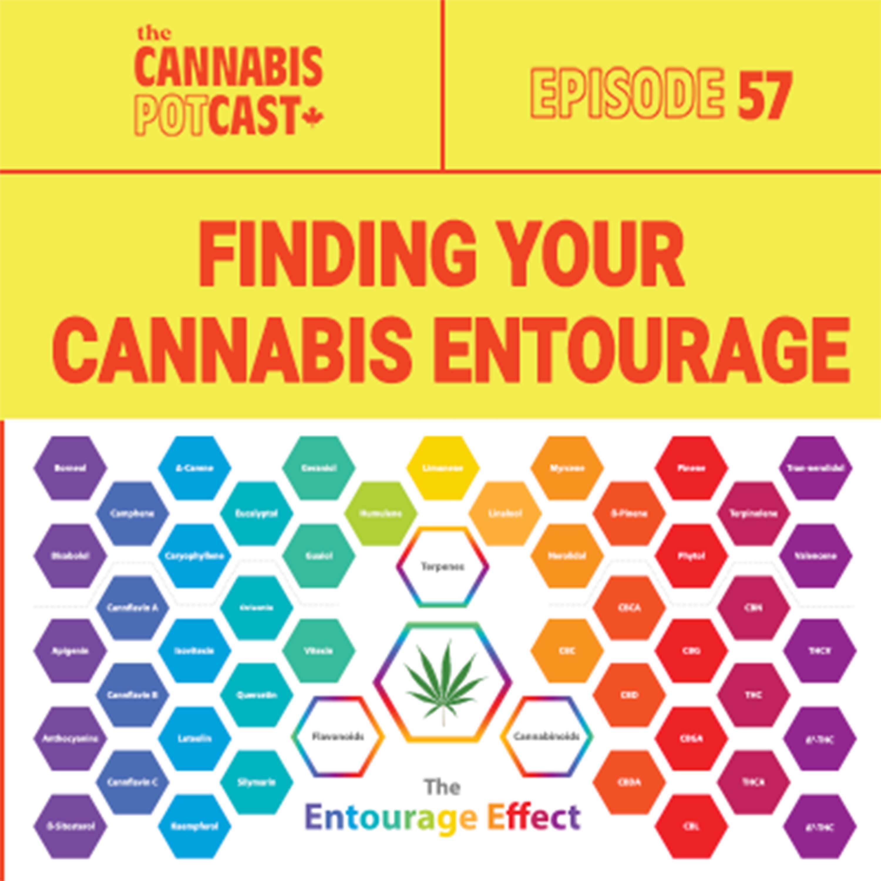 Finding your cannabis entourage