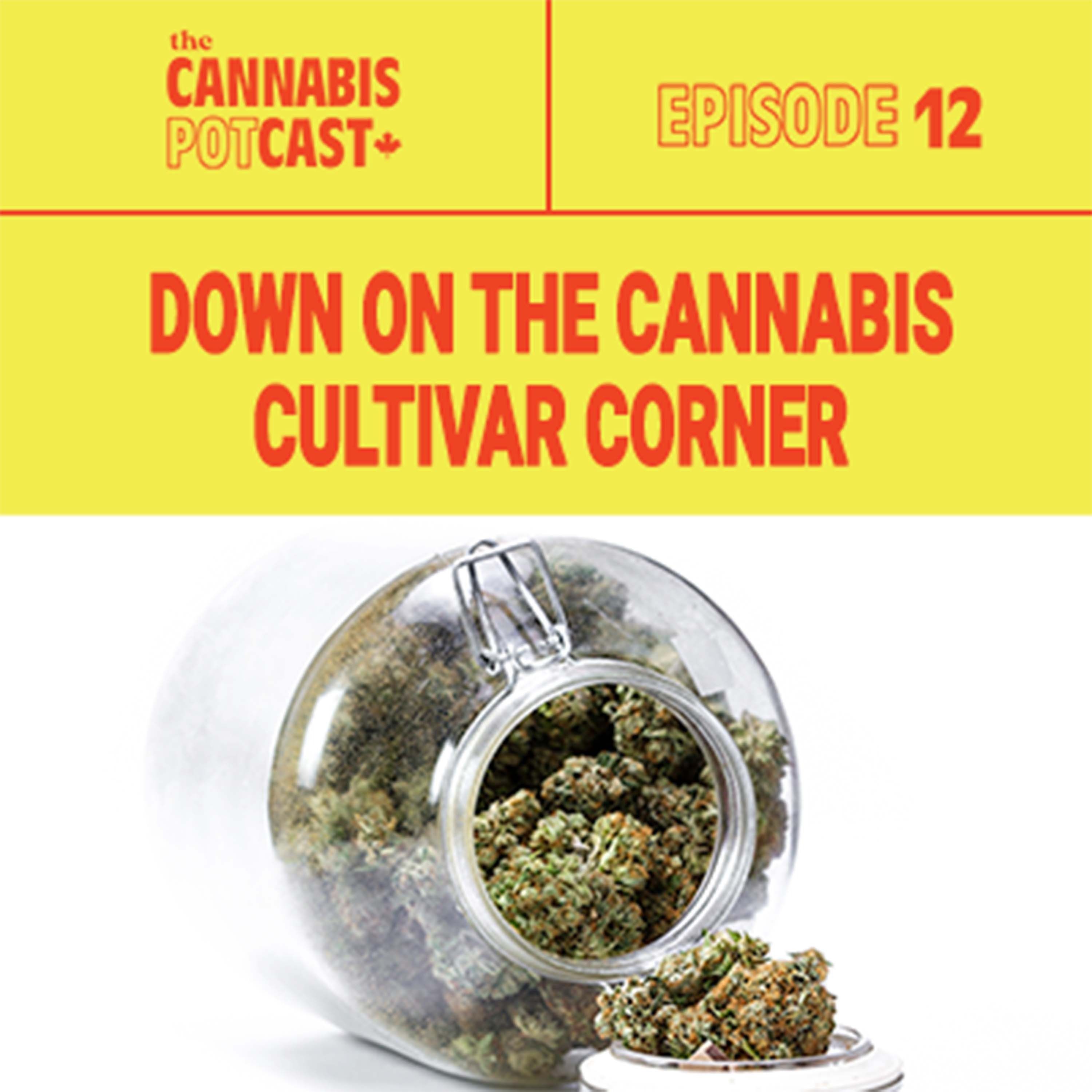 DOWN ON THE CANNABIS CULTIVAR CORNER