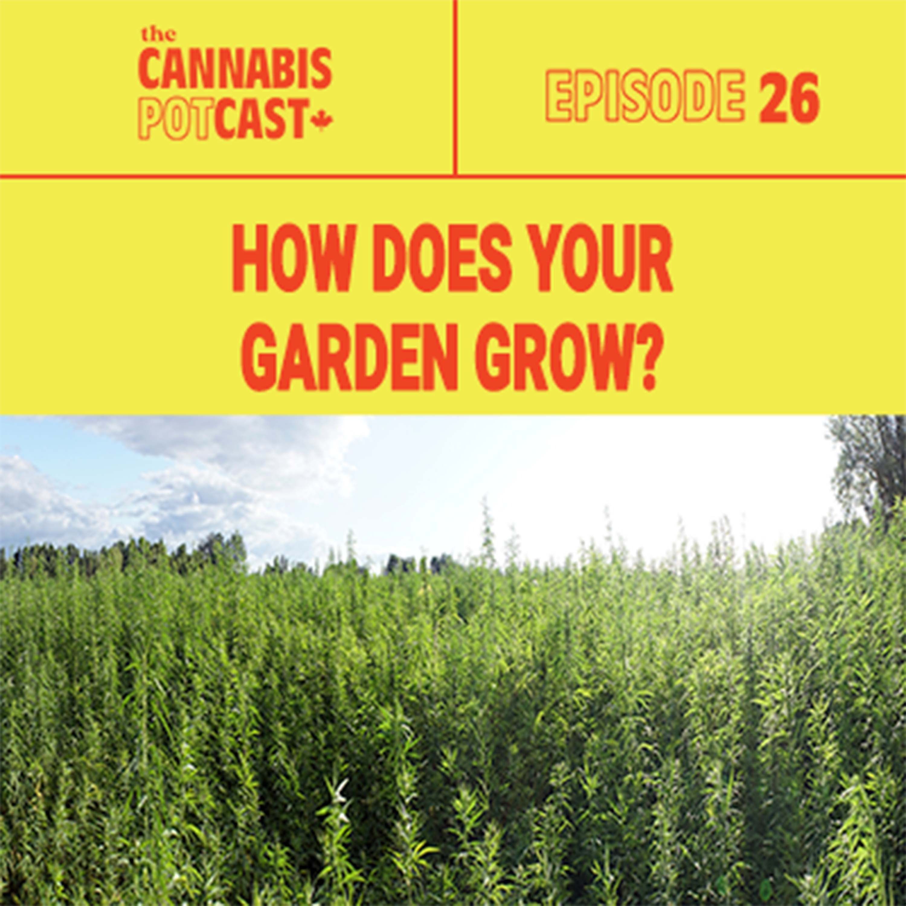 How Does Your Garden Grow?