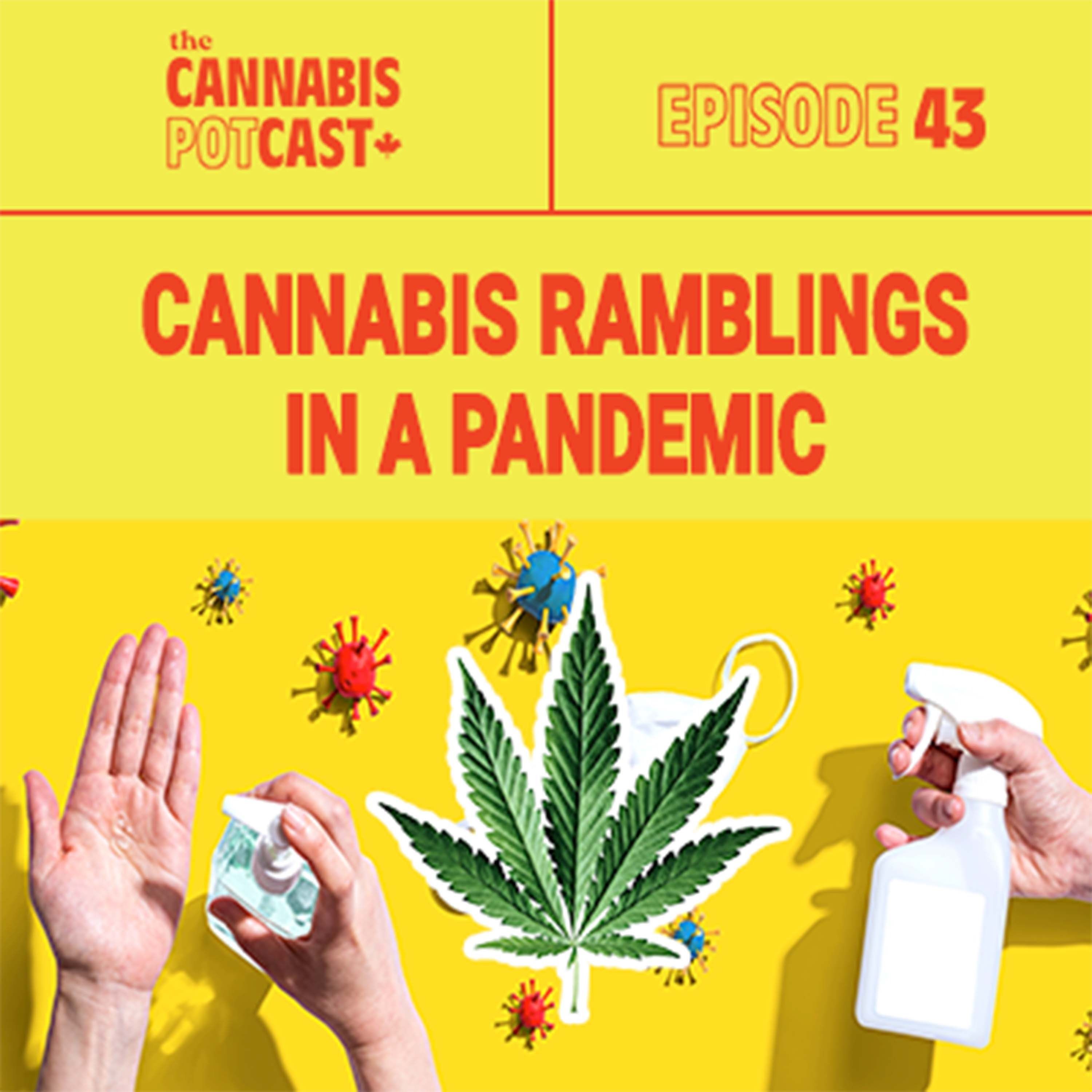 Cannabis Ramblings in a Pandemic