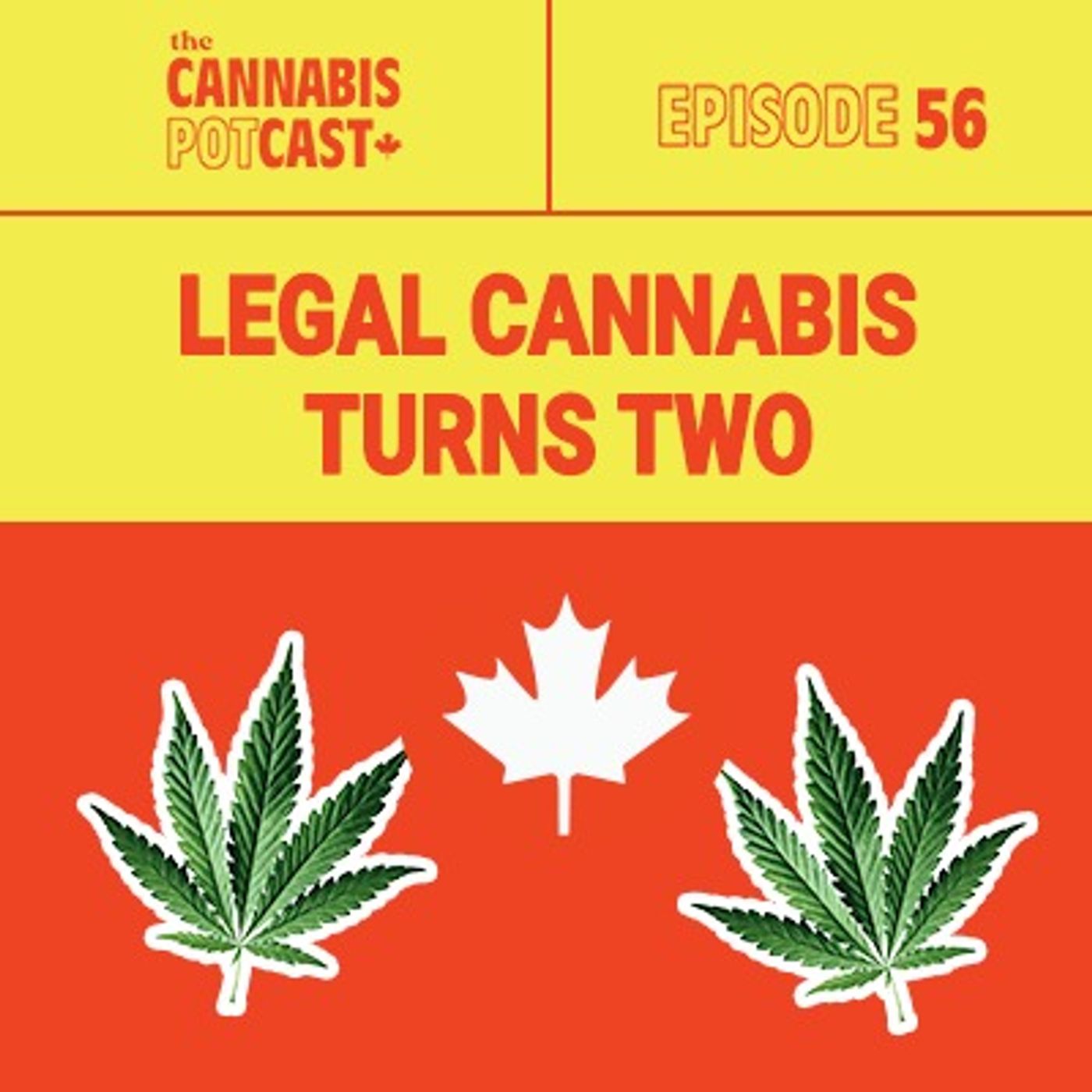 Cannabis Legalization Turns 2