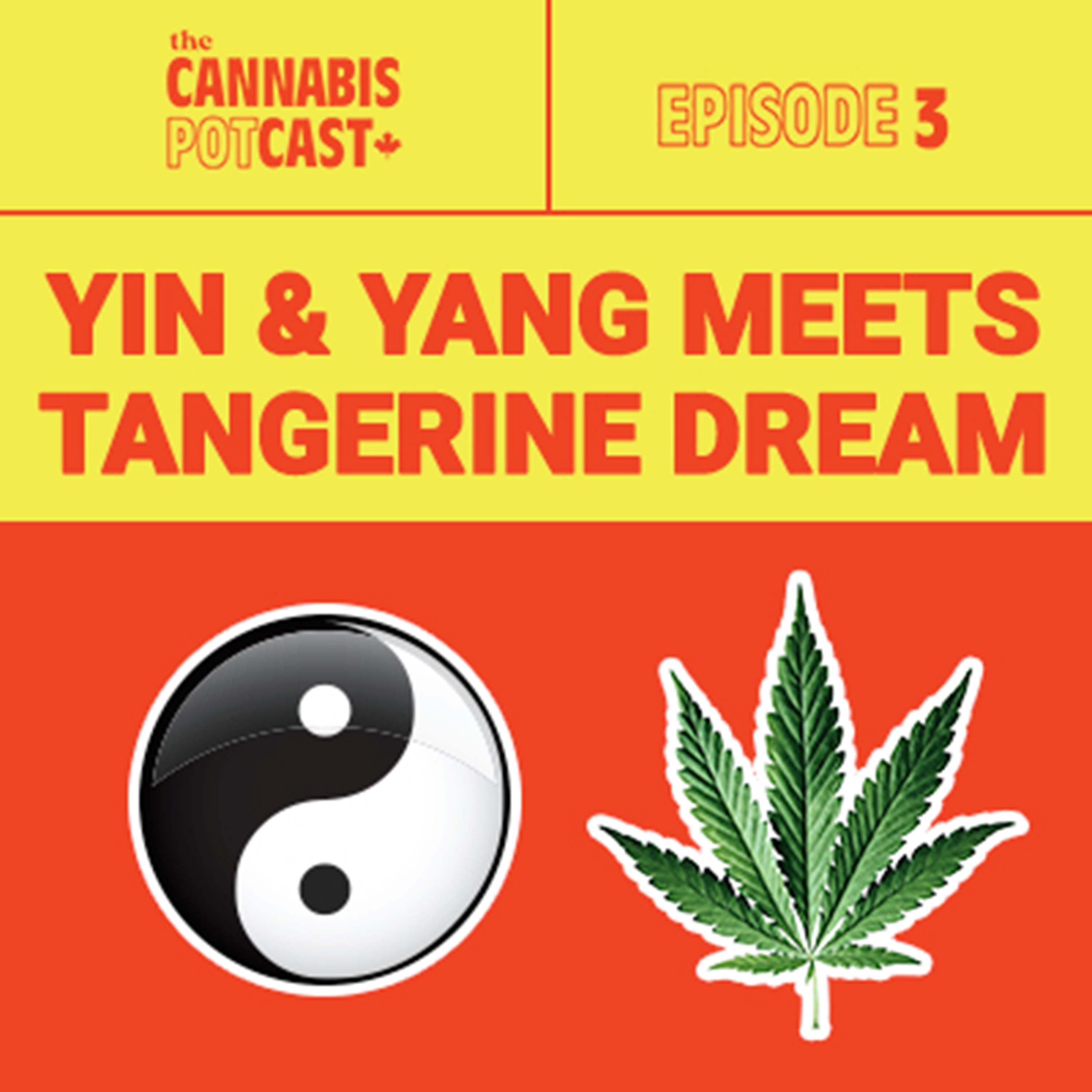 Yin and Yang Meets Tangerine Dream