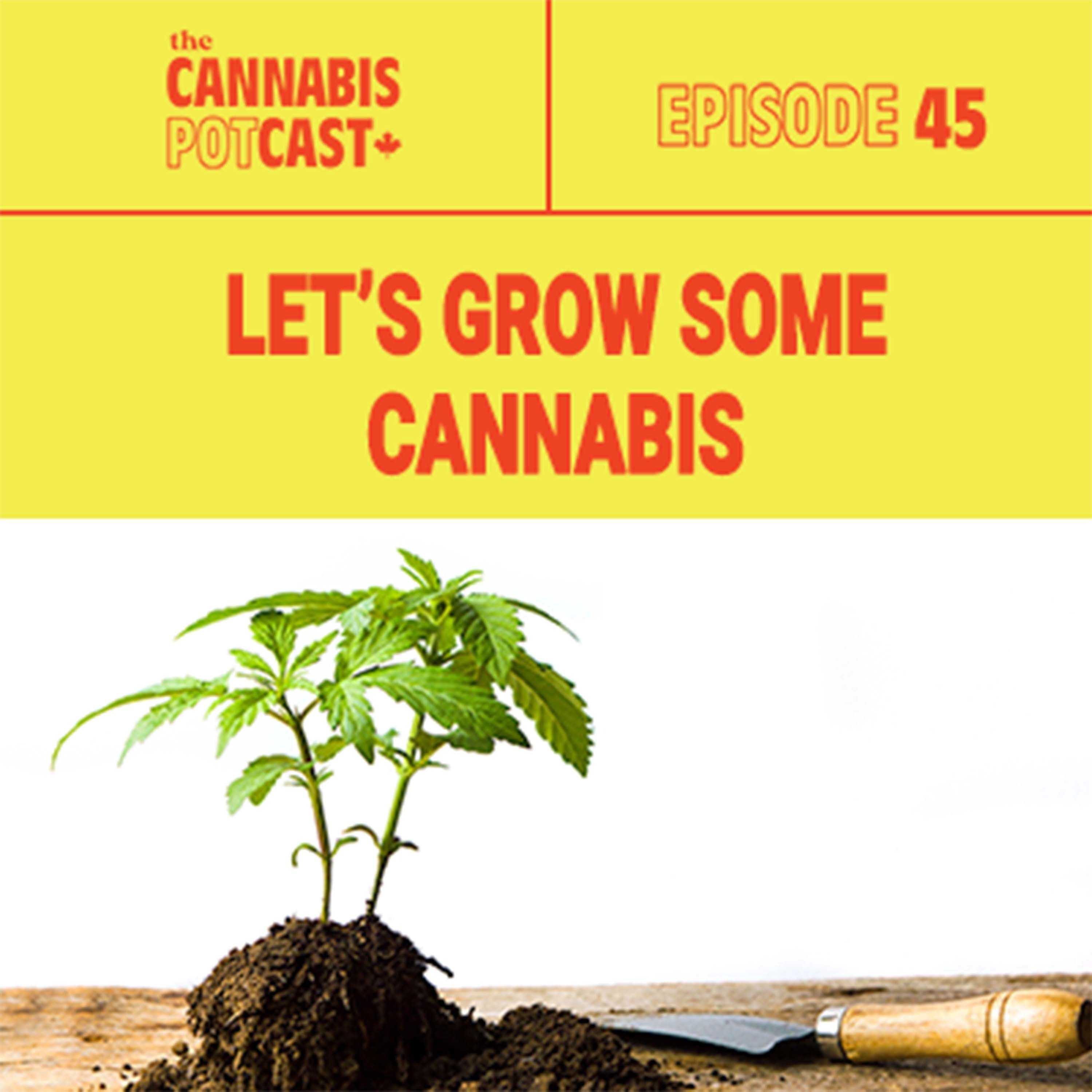 Let's Grow Some Cannabis