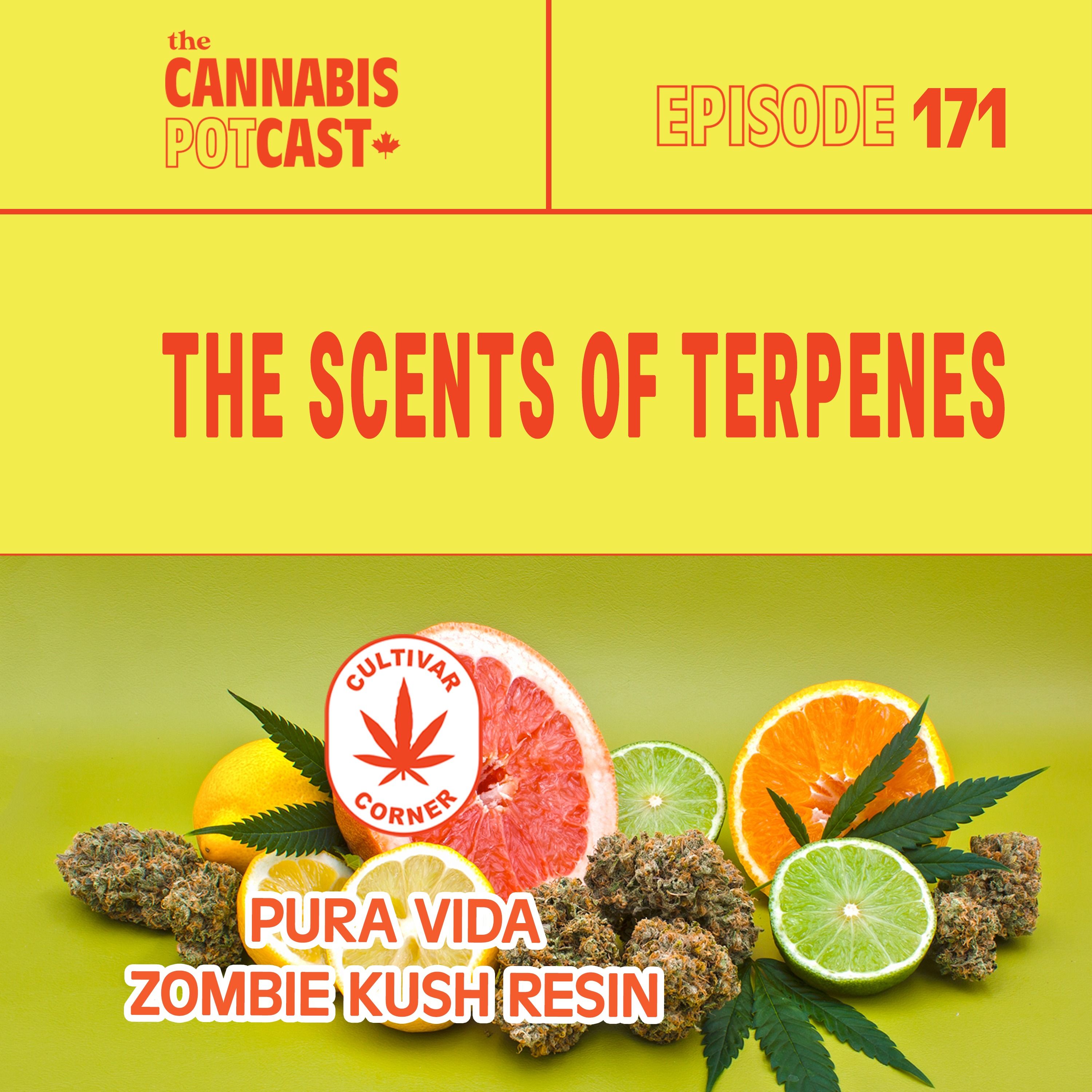 The scents of terpenes