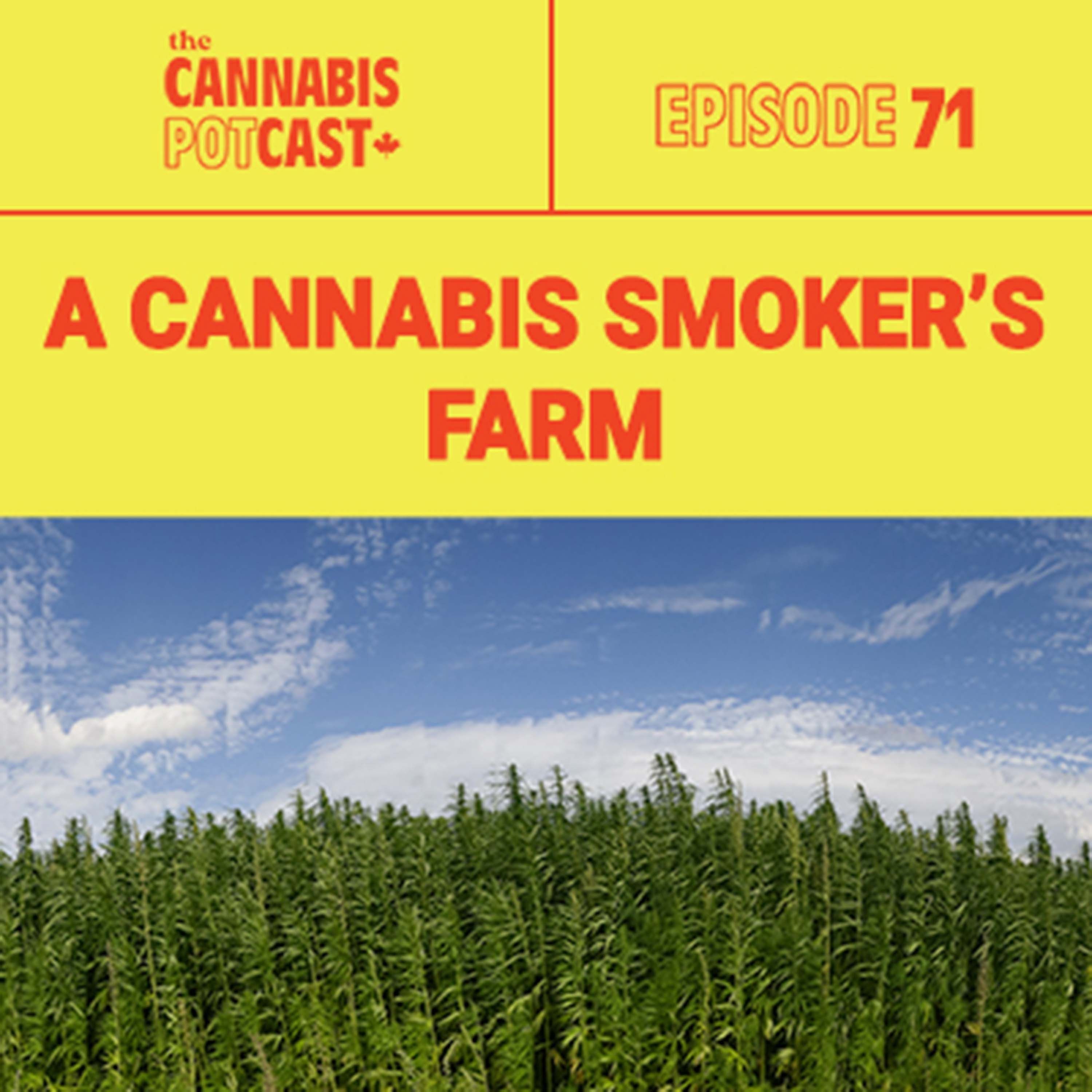 A Cannabis Smoker's Farm