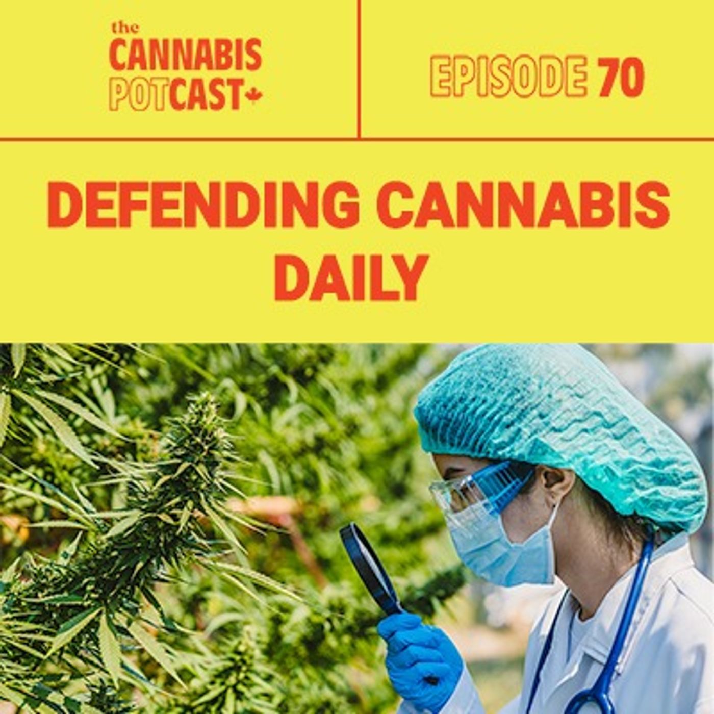 Defending Cannabis Daily