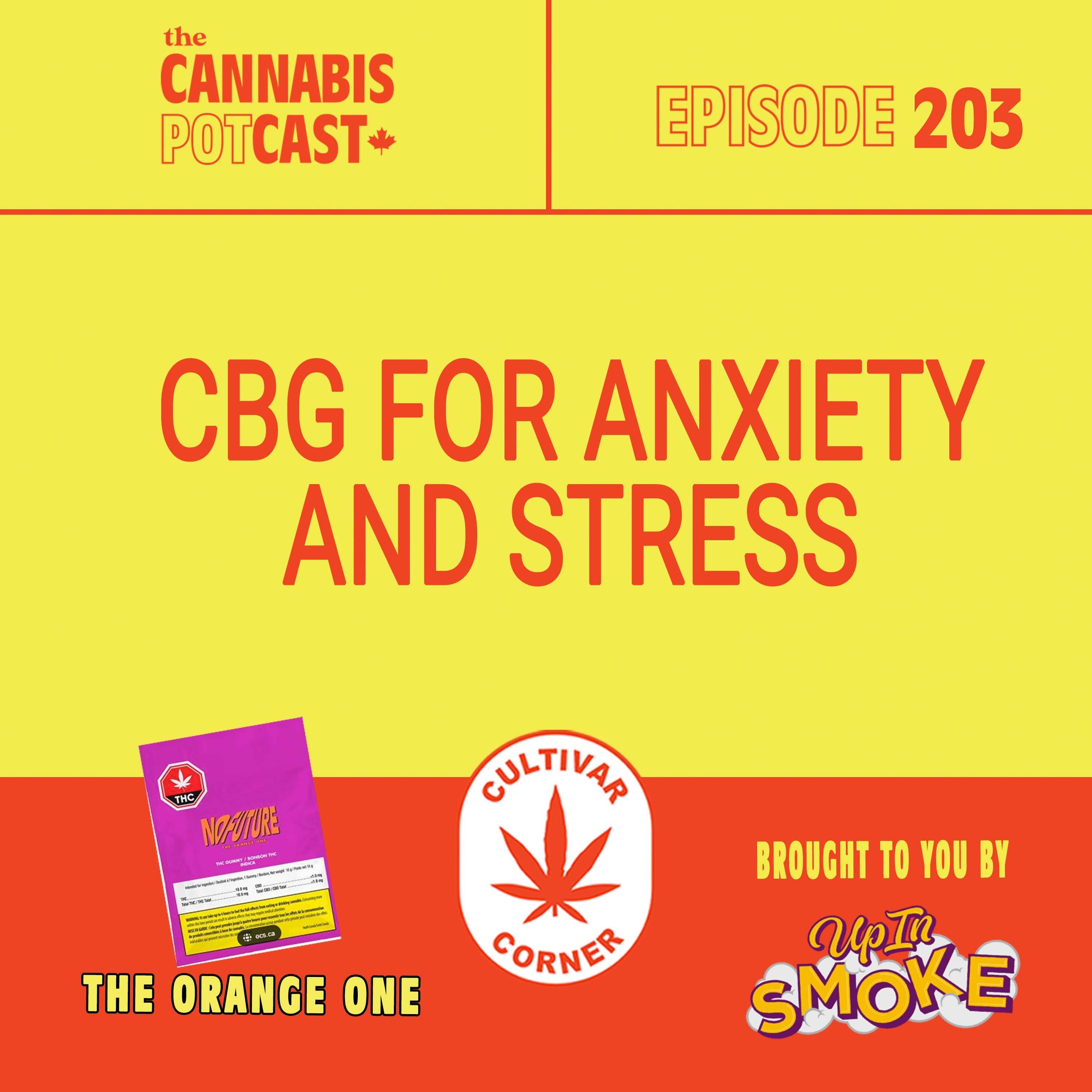 CBG for anxiety and stress