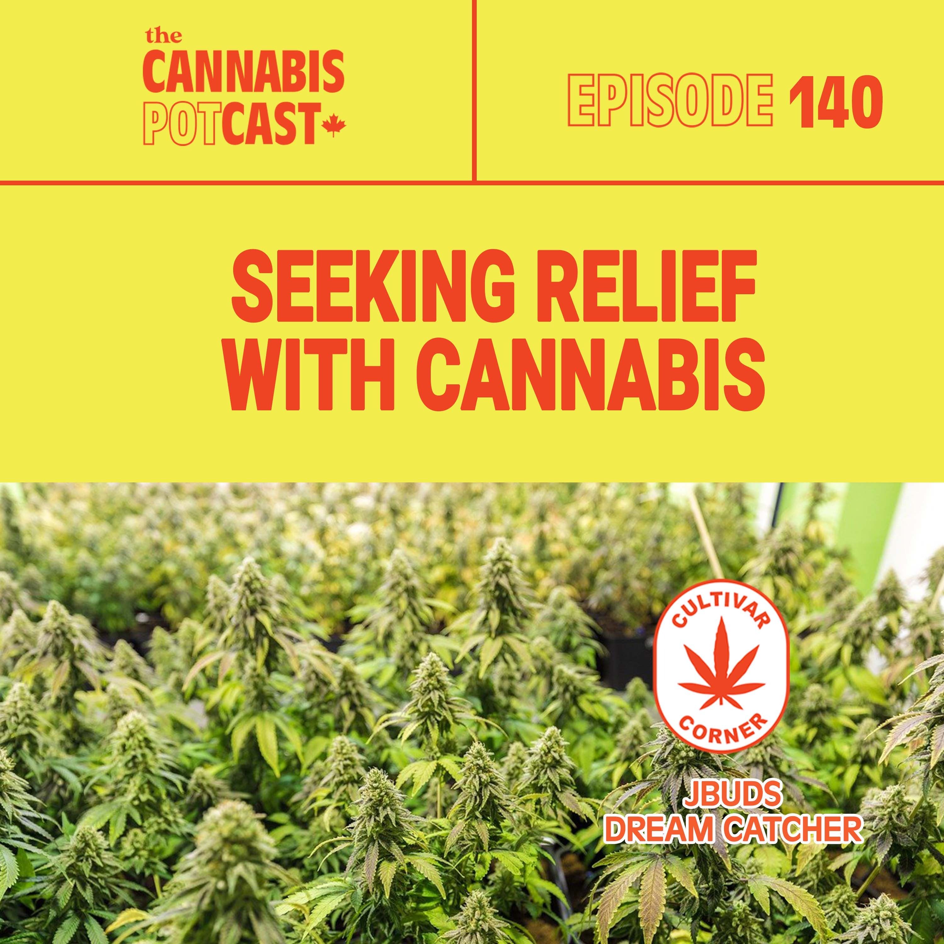 Seeking relief with cannabis