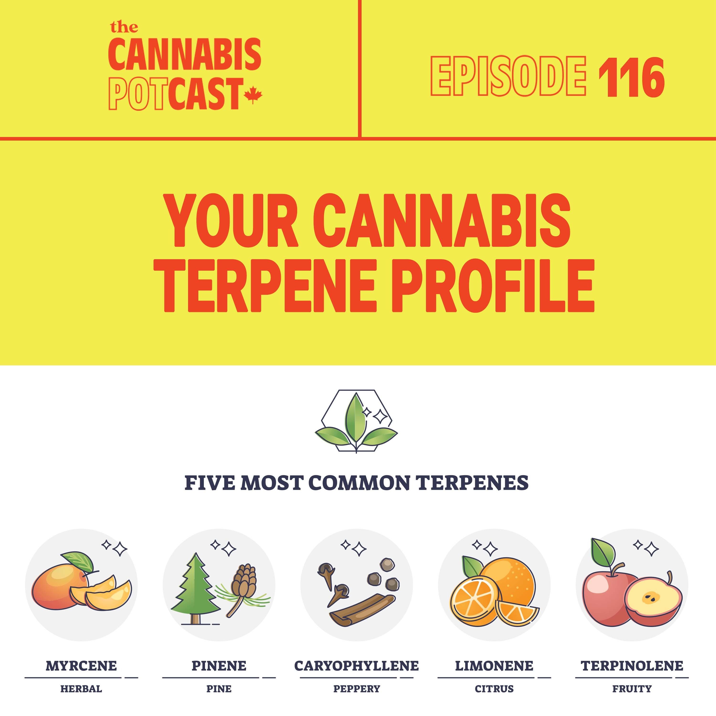 Your Cannabis Terpene Profile