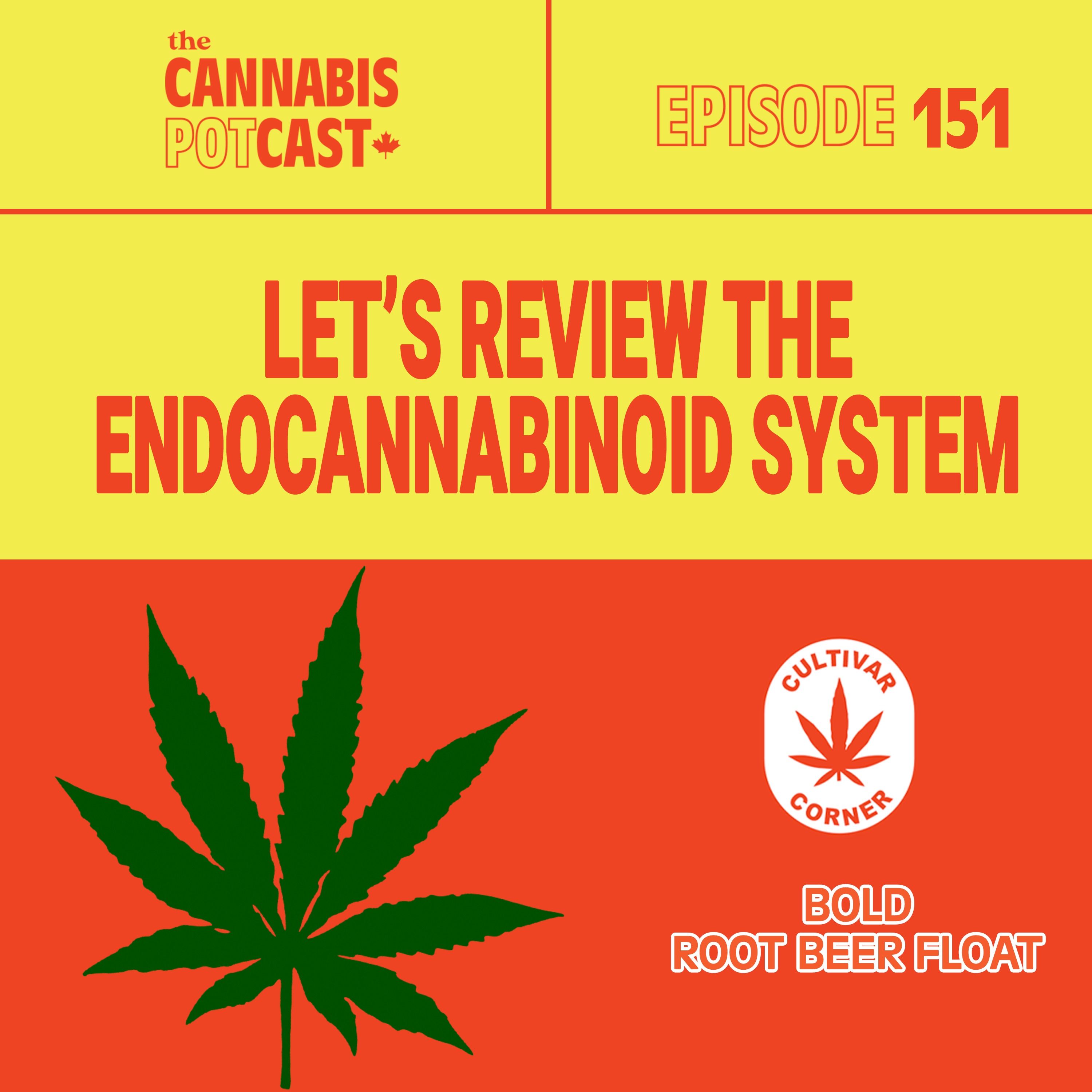 Let's review the endocannabinoid system