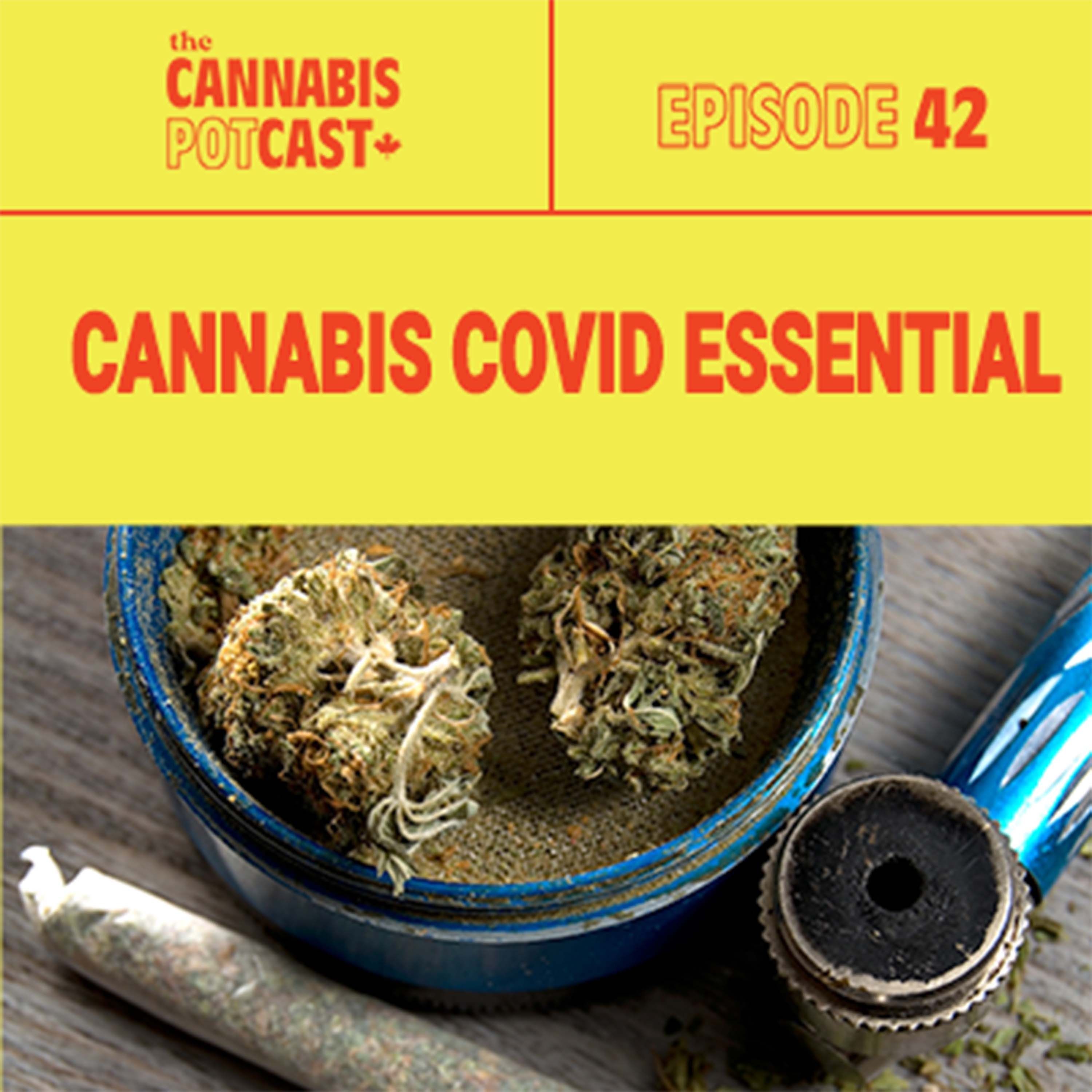 Cannabis Covid Essential