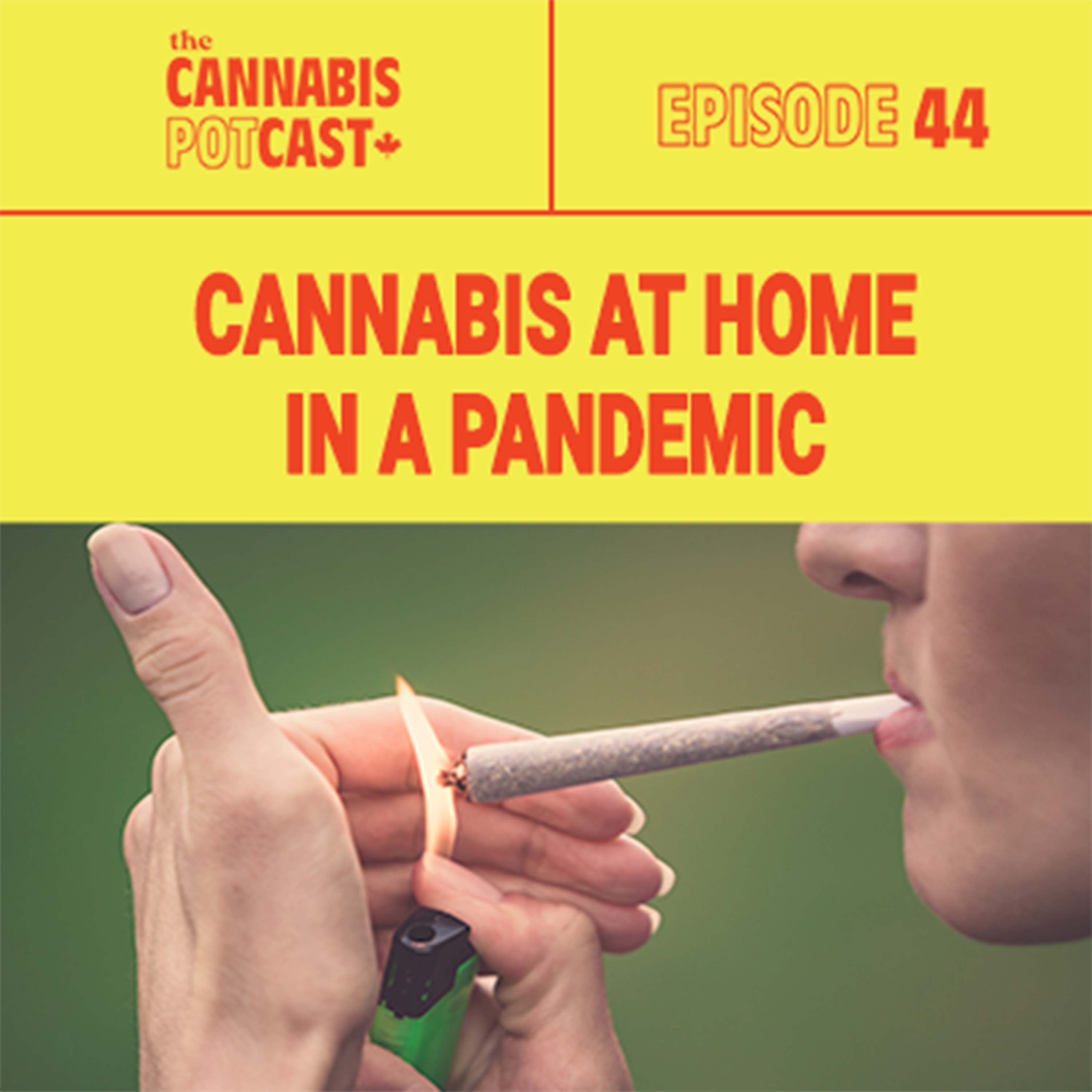 Cannabis at Home in a Pandemic