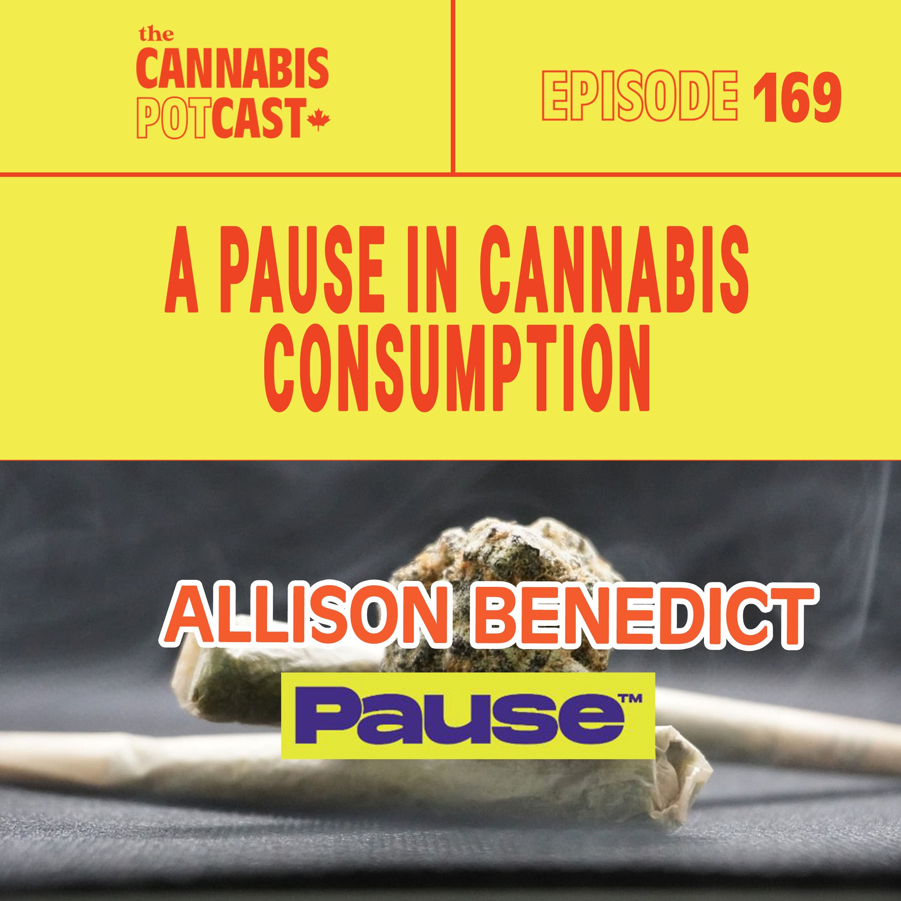 A pause in cannabis consumption