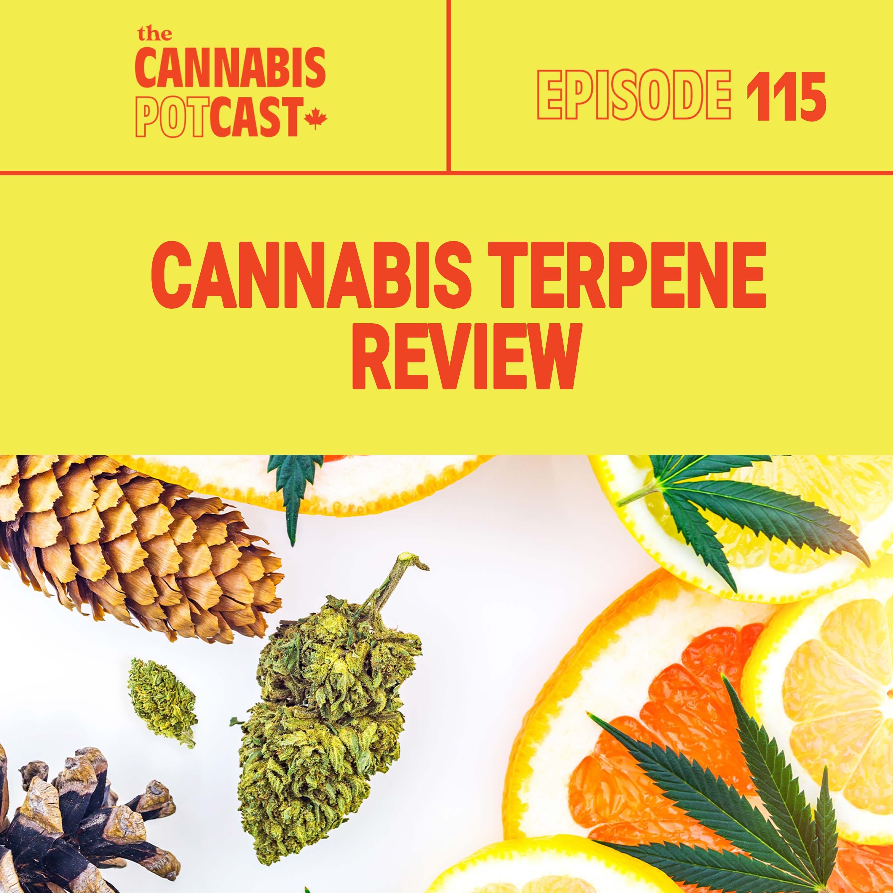 Cannabis Terpene Review